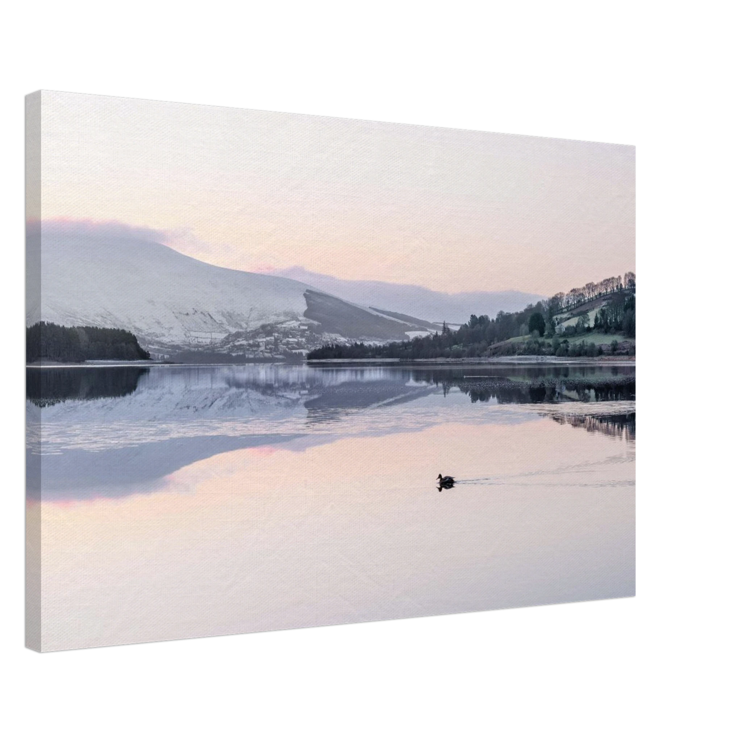 b5db1b6c-6ffd-40d0-8903-5cce6e391f28