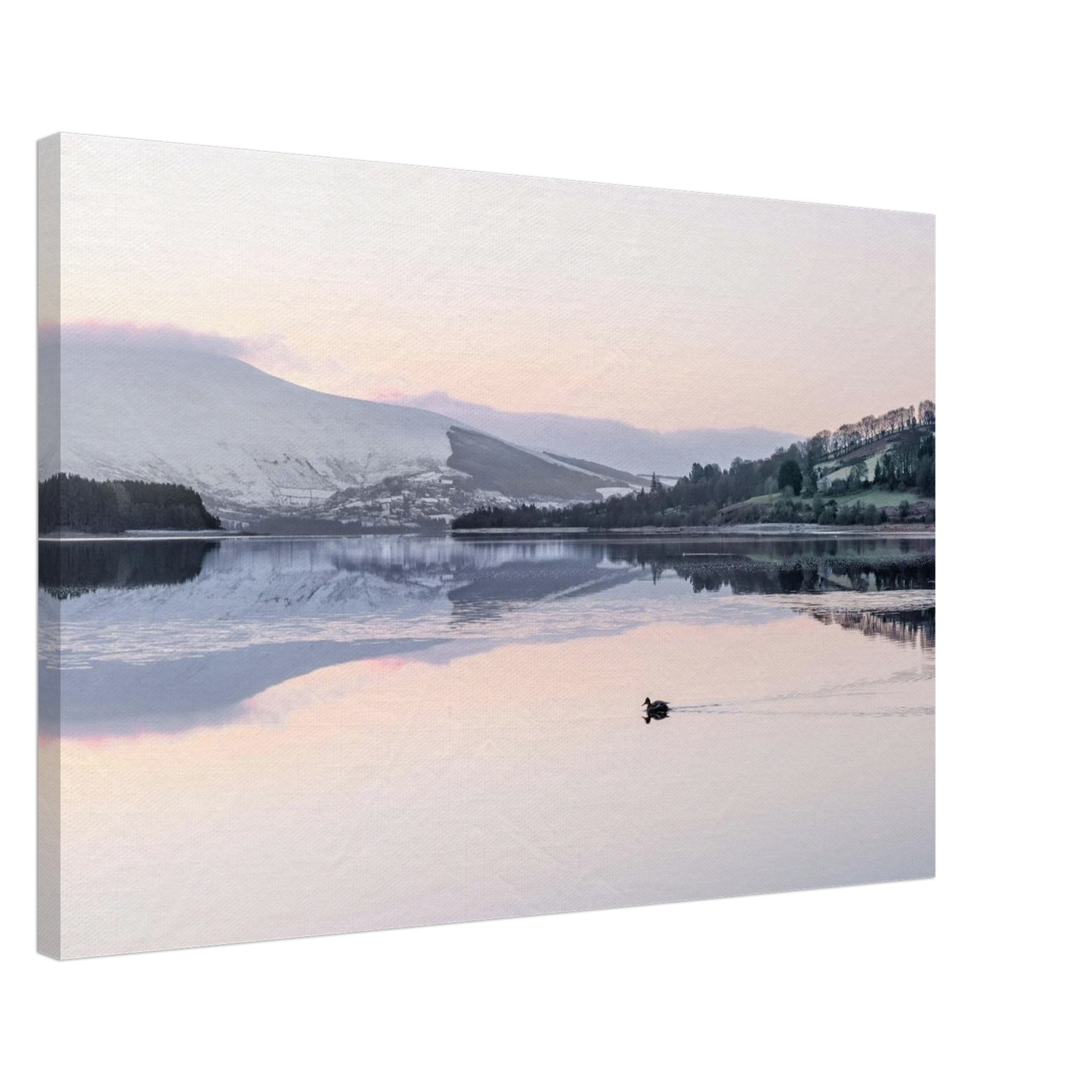 b5db1b6c-6ffd-40d0-8903-5cce6e391f28