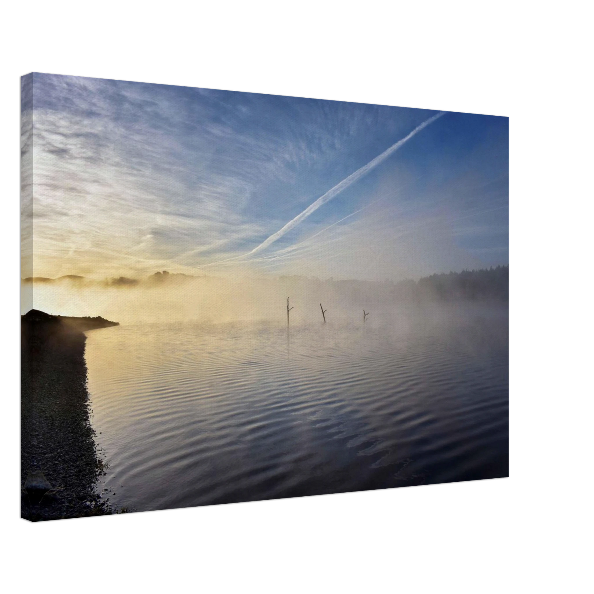 b5ef0ec7-bcf8-4671-bbdb-8522c16eb9ac