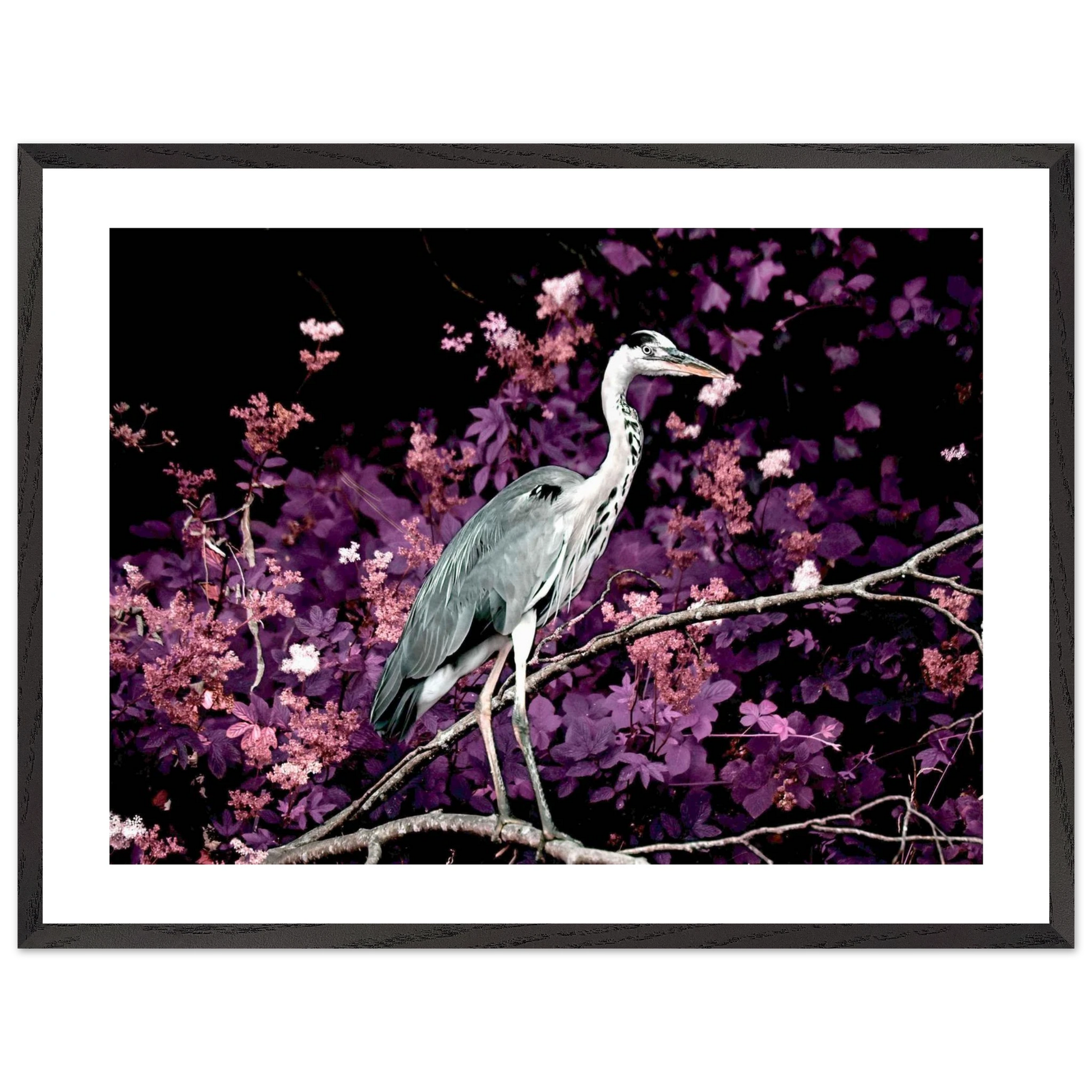 b5fa33d4-90ae-4cc5-945c-201eff5ebb53