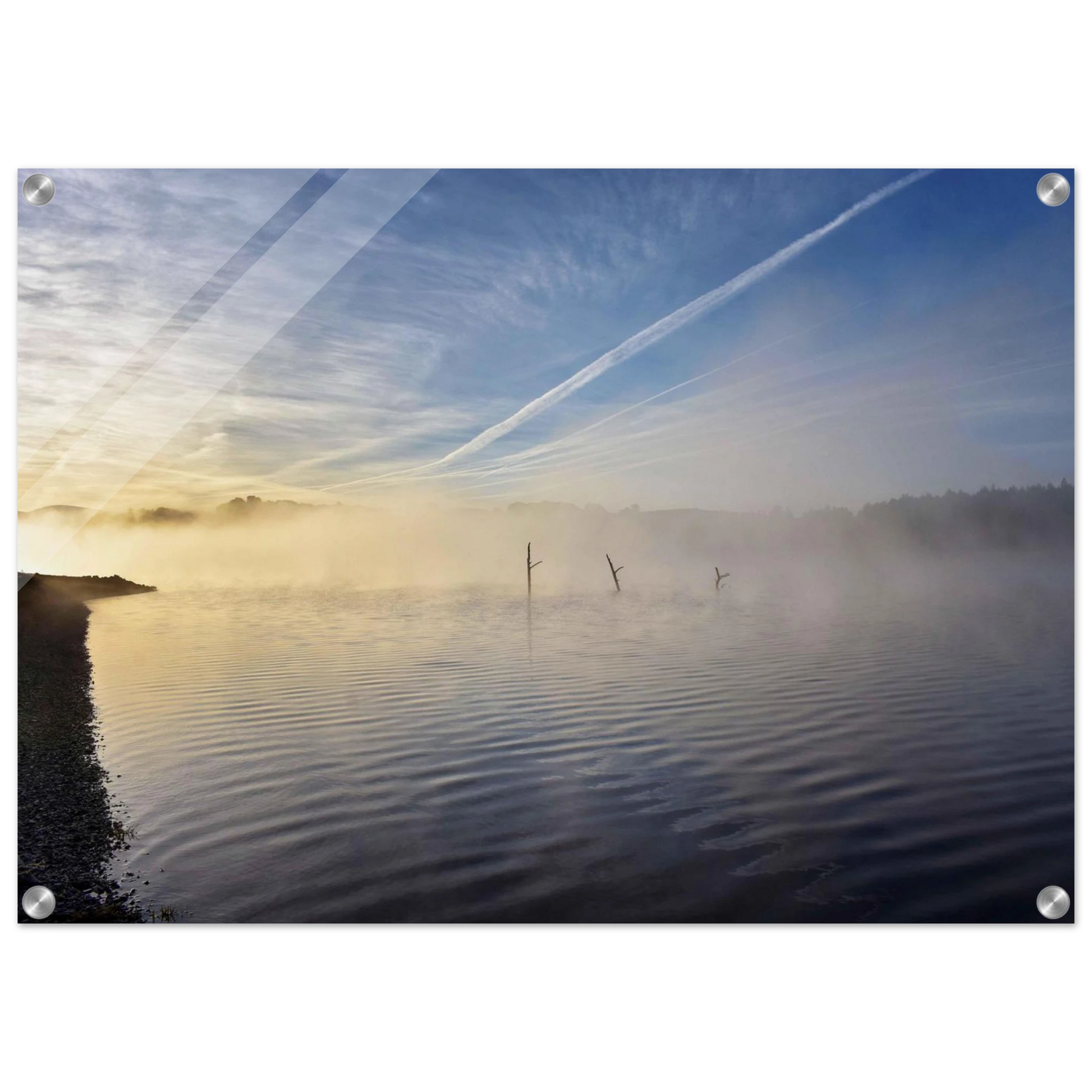 b69c8800-5d4e-48f2-b7f1-089ac3217957