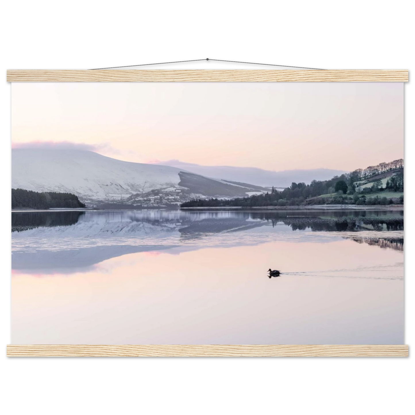 b6f9f1e5-3e45-416c-9a75-0b33f3a114fa