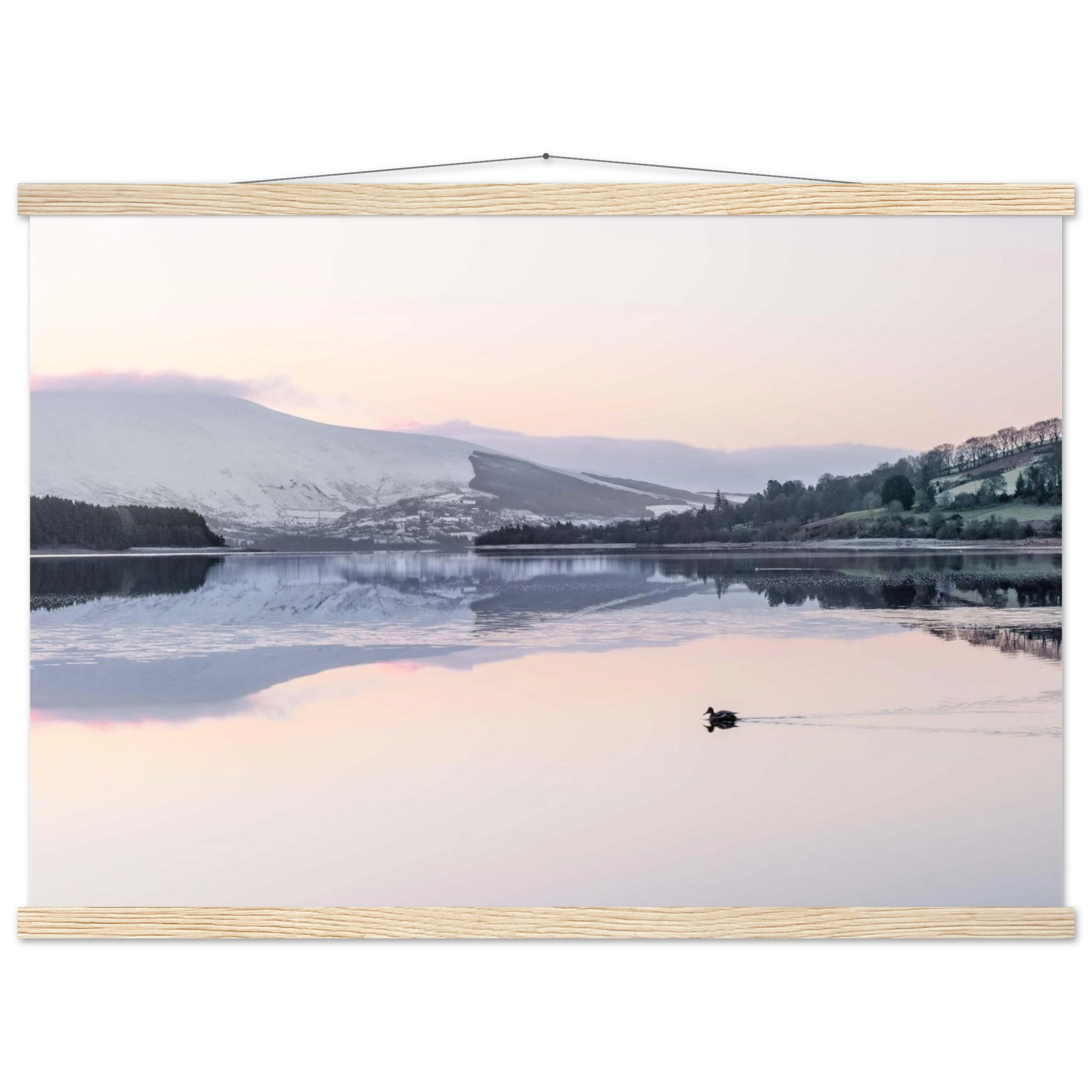 b6f9f1e5-3e45-416c-9a75-0b33f3a114fa