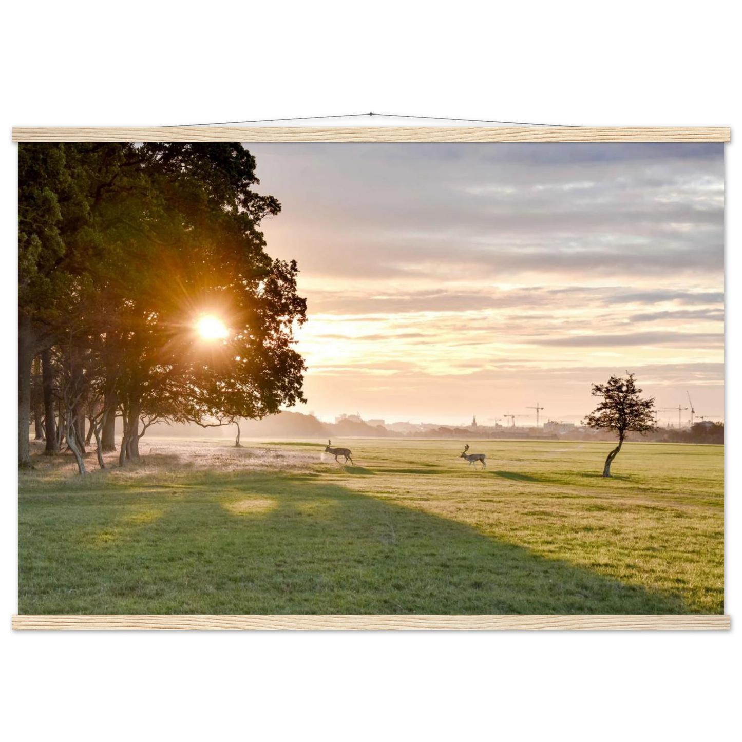 b77da3cd-15da-44bd-a8d8-3035ad69a777