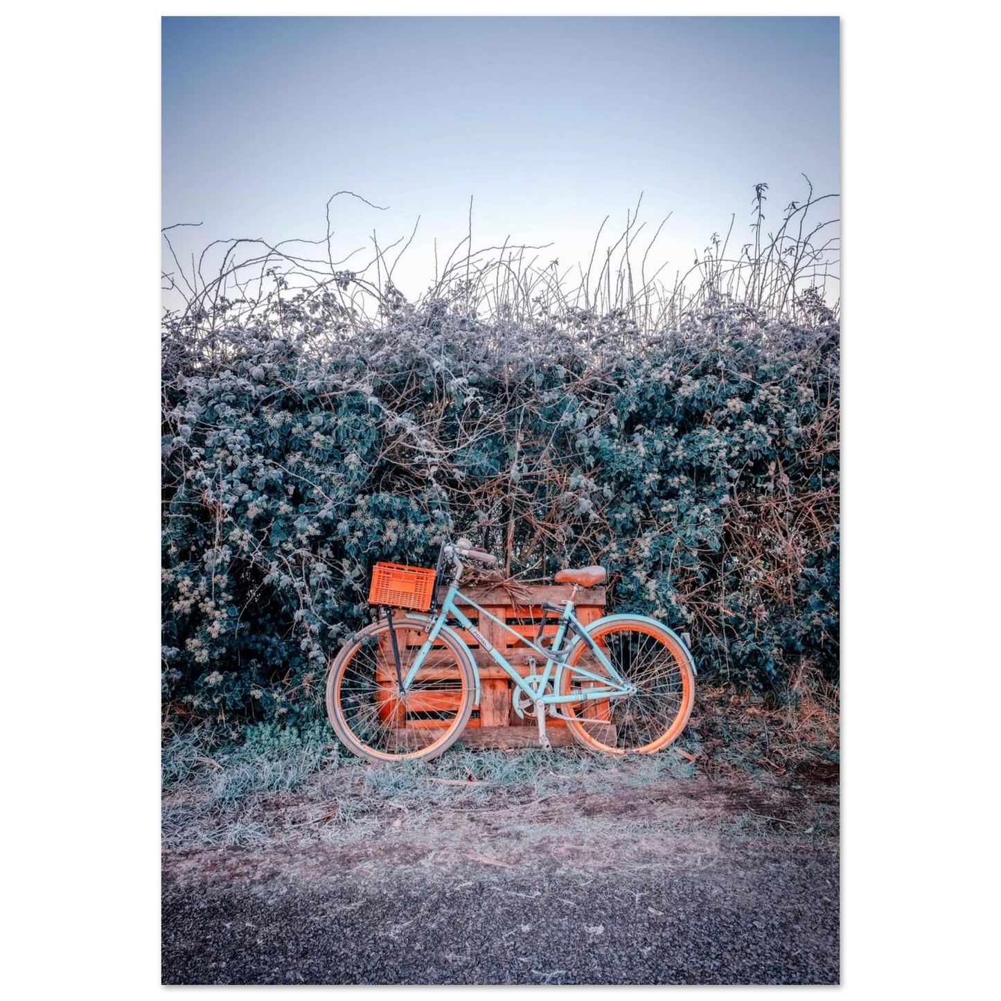 b82b254e-8897-414e-bcca-382d3d082151