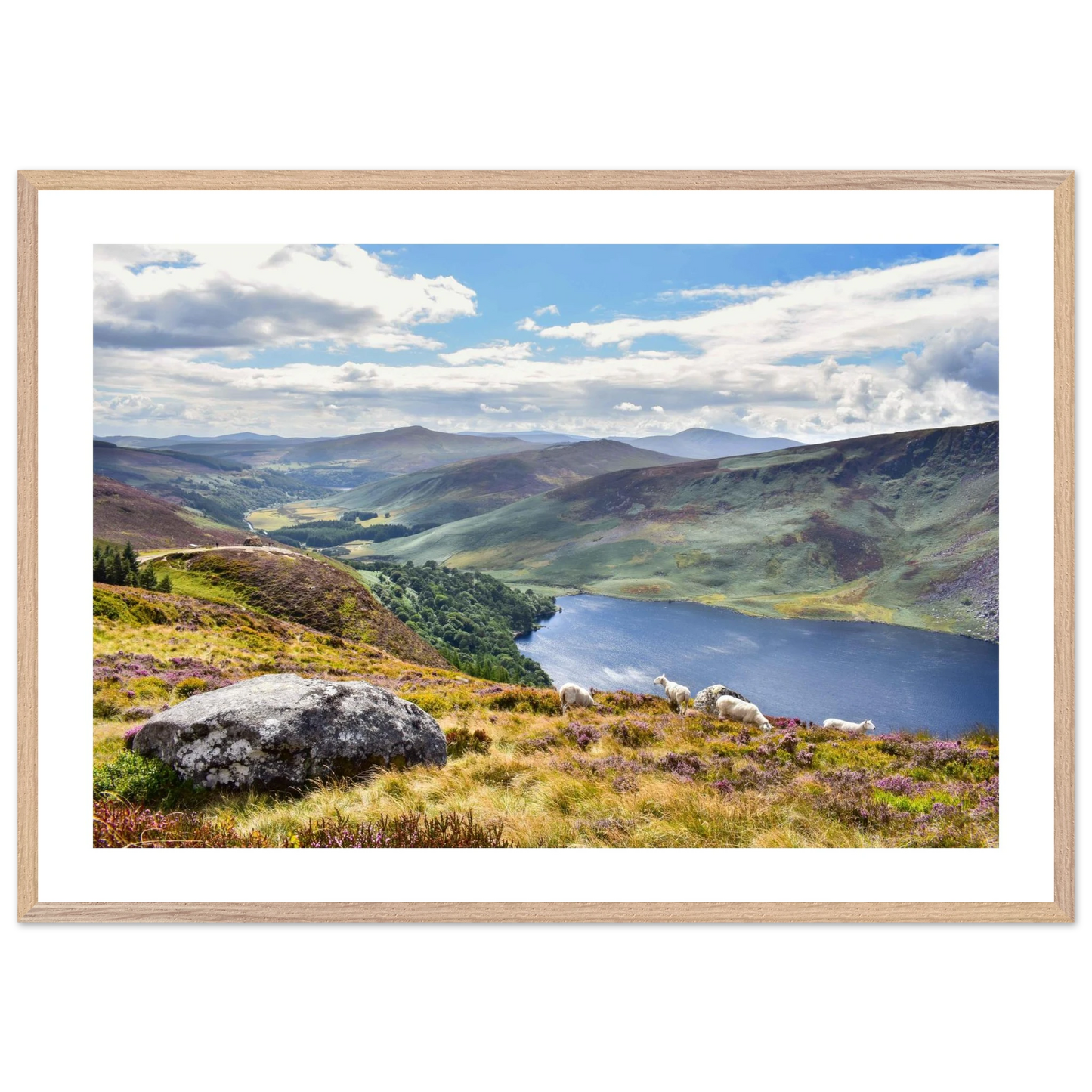 b85eb551-3f25-4a28-9000-00a8727e1a0c