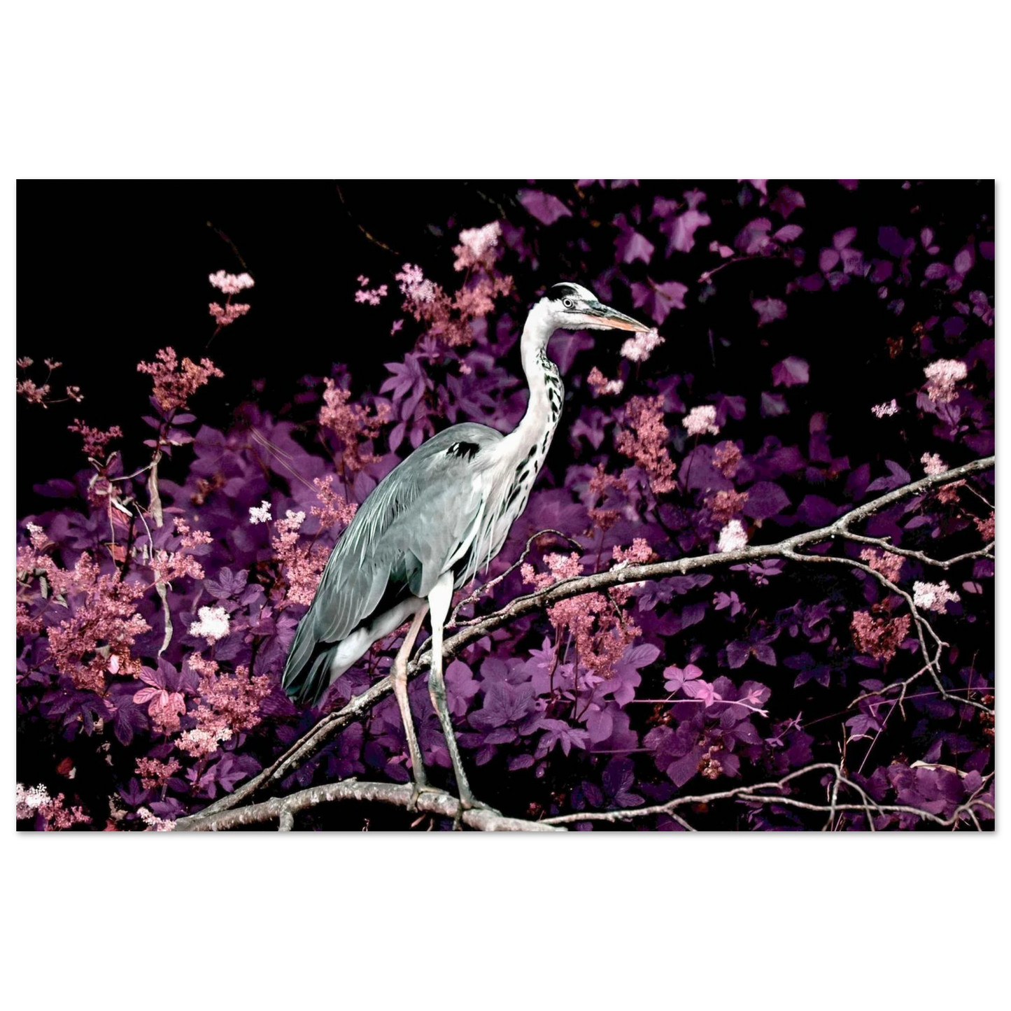 b86ad0f7-a8ea-49bd-8ac3-db85b7873204