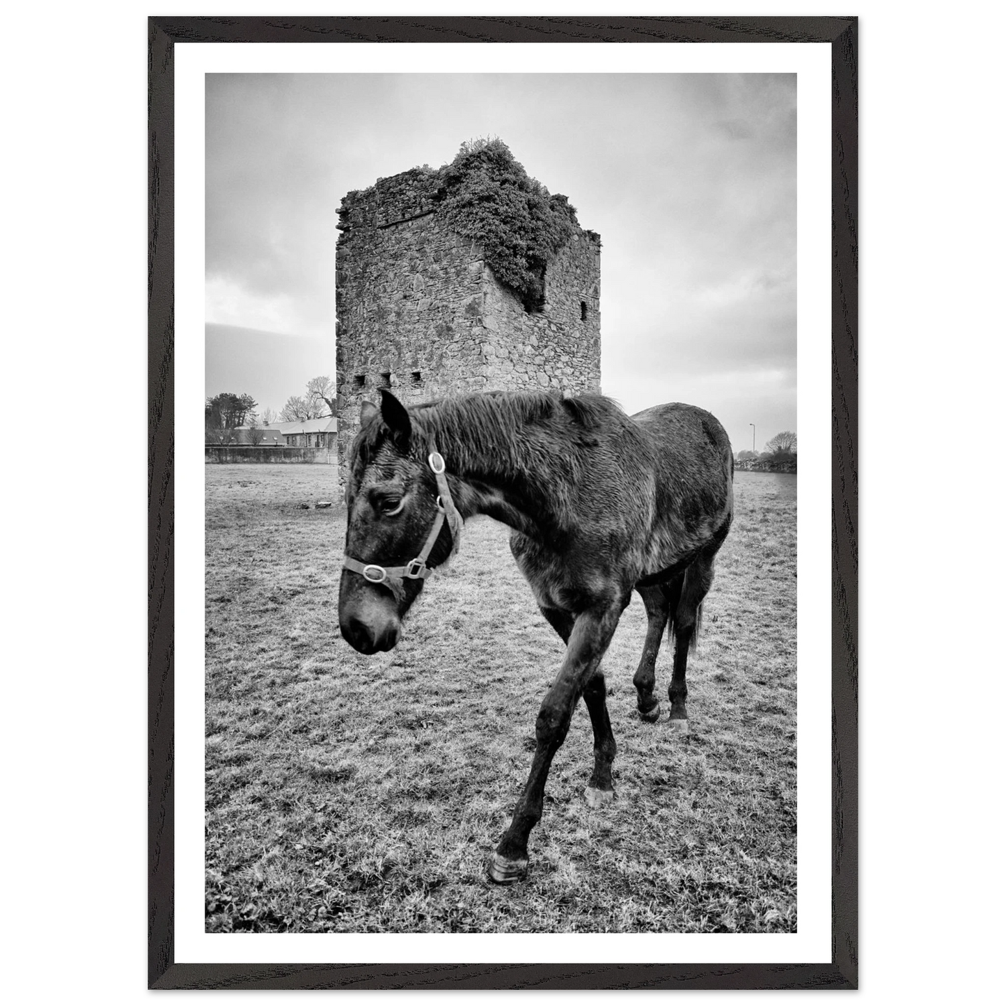 b8884916-77f4-4d60-adac-2d43f0211a44