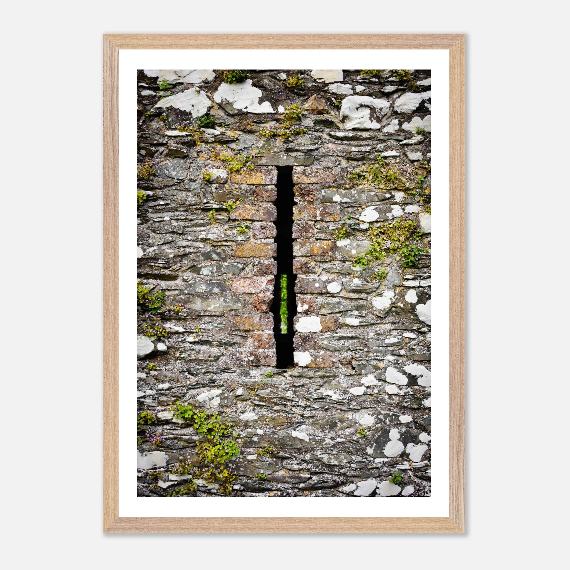 b888a580-b4d4-4709-9bb3-73123ee018e6