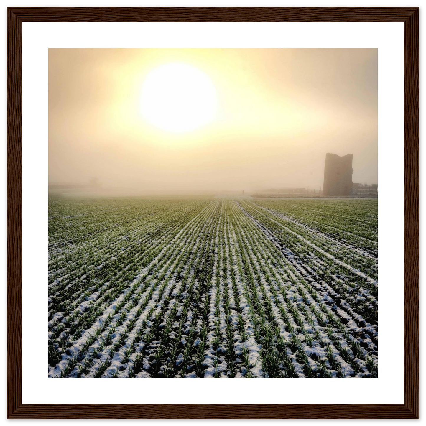 b8ae36de-5007-4f96-acc6-ce147c1036ef