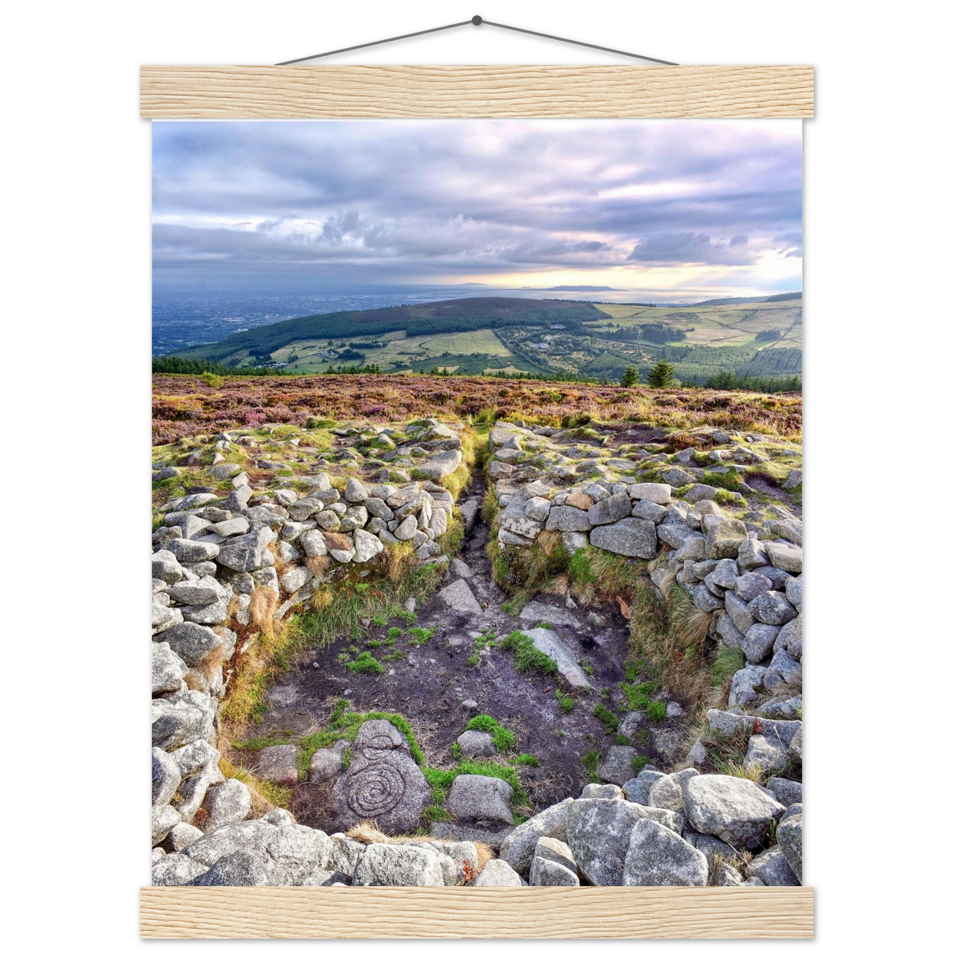 b8cb8c55-9213-4f8a-bb06-846c09caeb0e