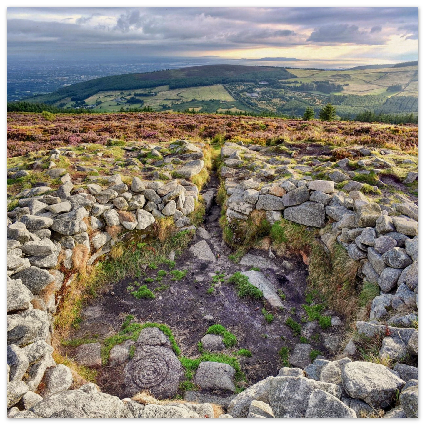 b8eb10cc-a648-49ea-834a-ae632d157e16