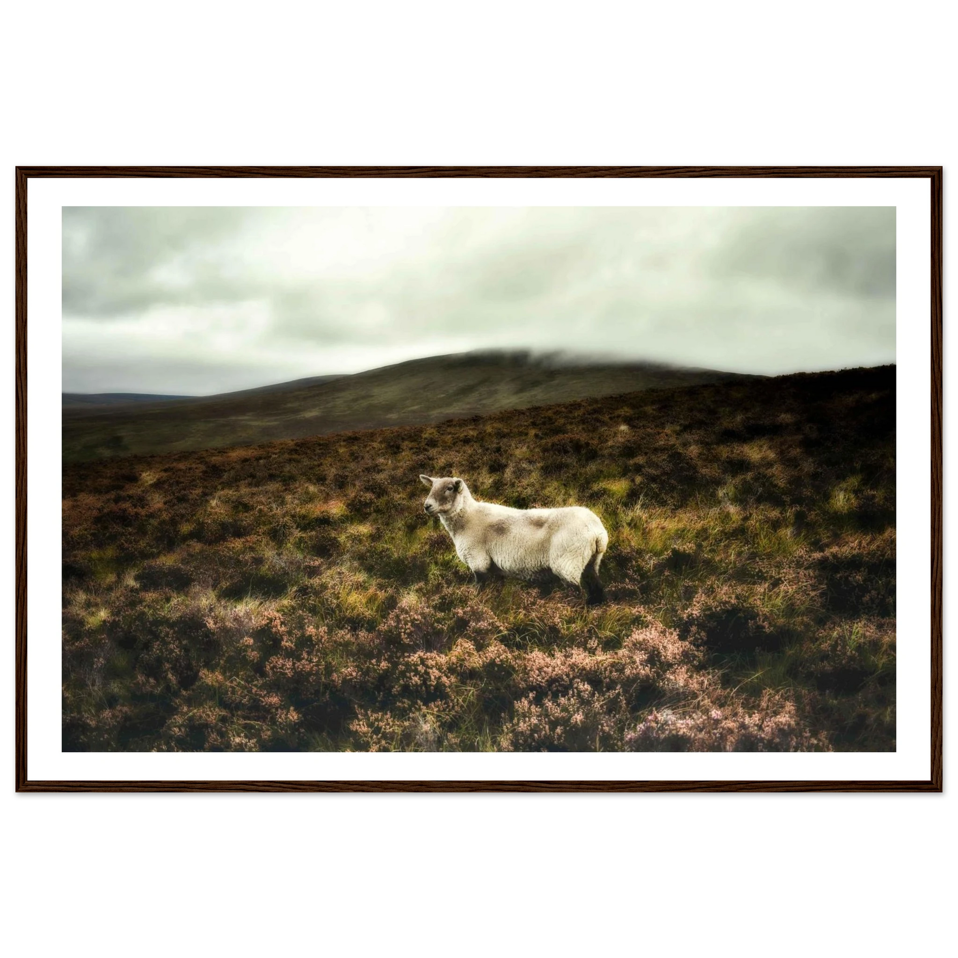 b9ba29ea-a898-4509-af2a-910ca698b69f