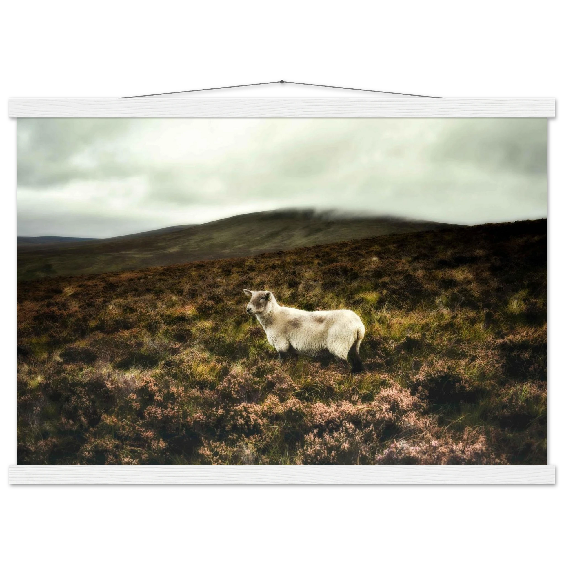 b9d3cc26-7954-4d2e-83c0-21cb4f0a9bae