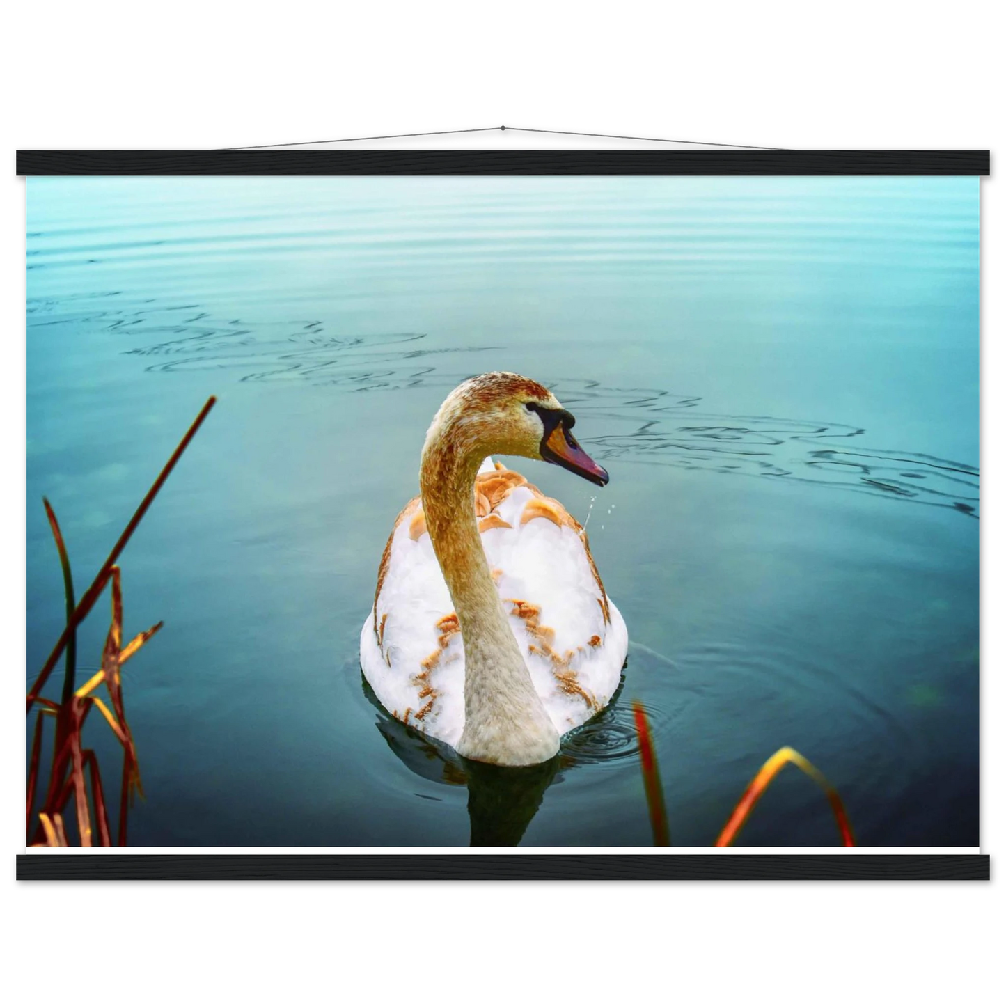 b9fb3af3-cff5-4155-81b4-183803d92904