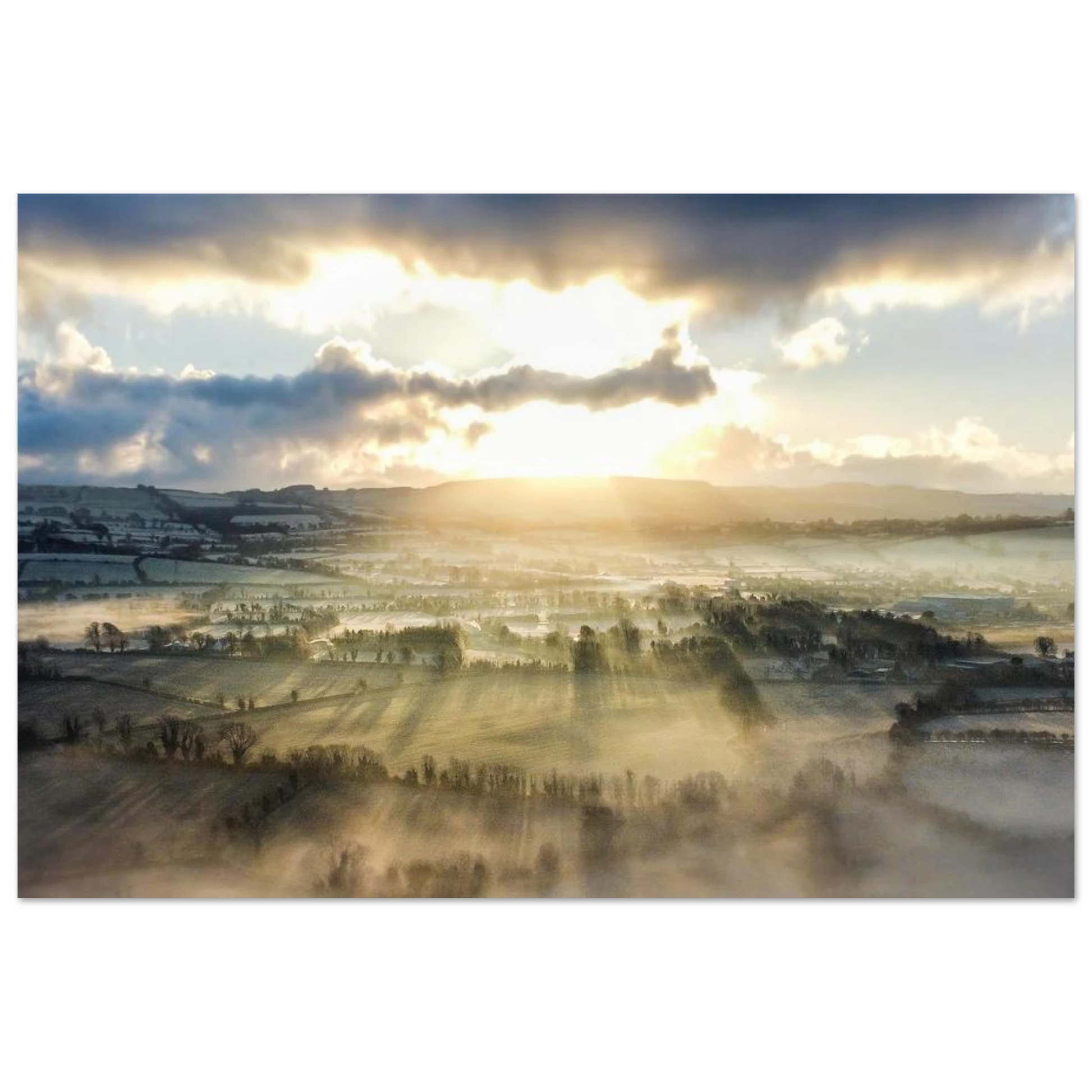 ba2a8d9f-8270-48d1-a992-0c579cd39e6a