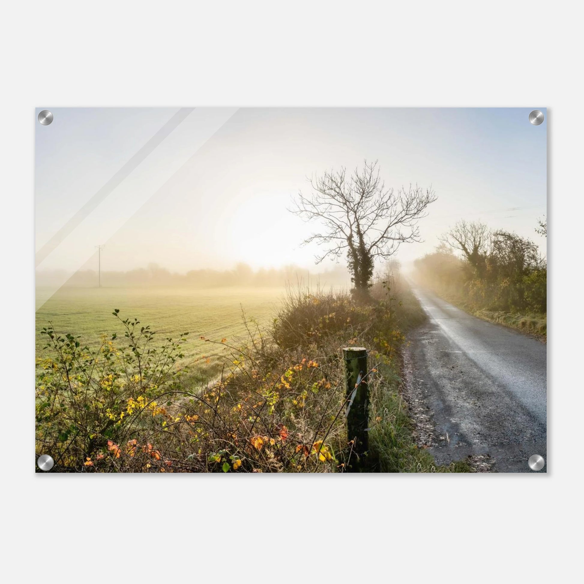 ba562df5-da27-41a2-8e7c-4b8d933db0e9