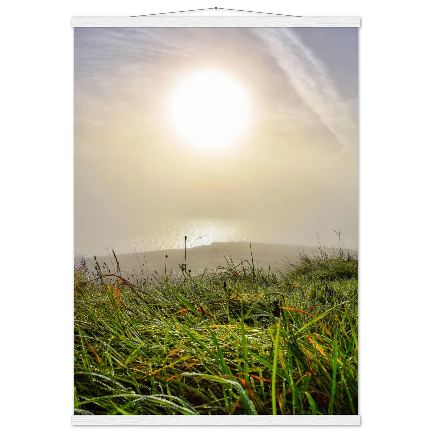 bac0ae98-f106-4045-b136-e89e30673d0b