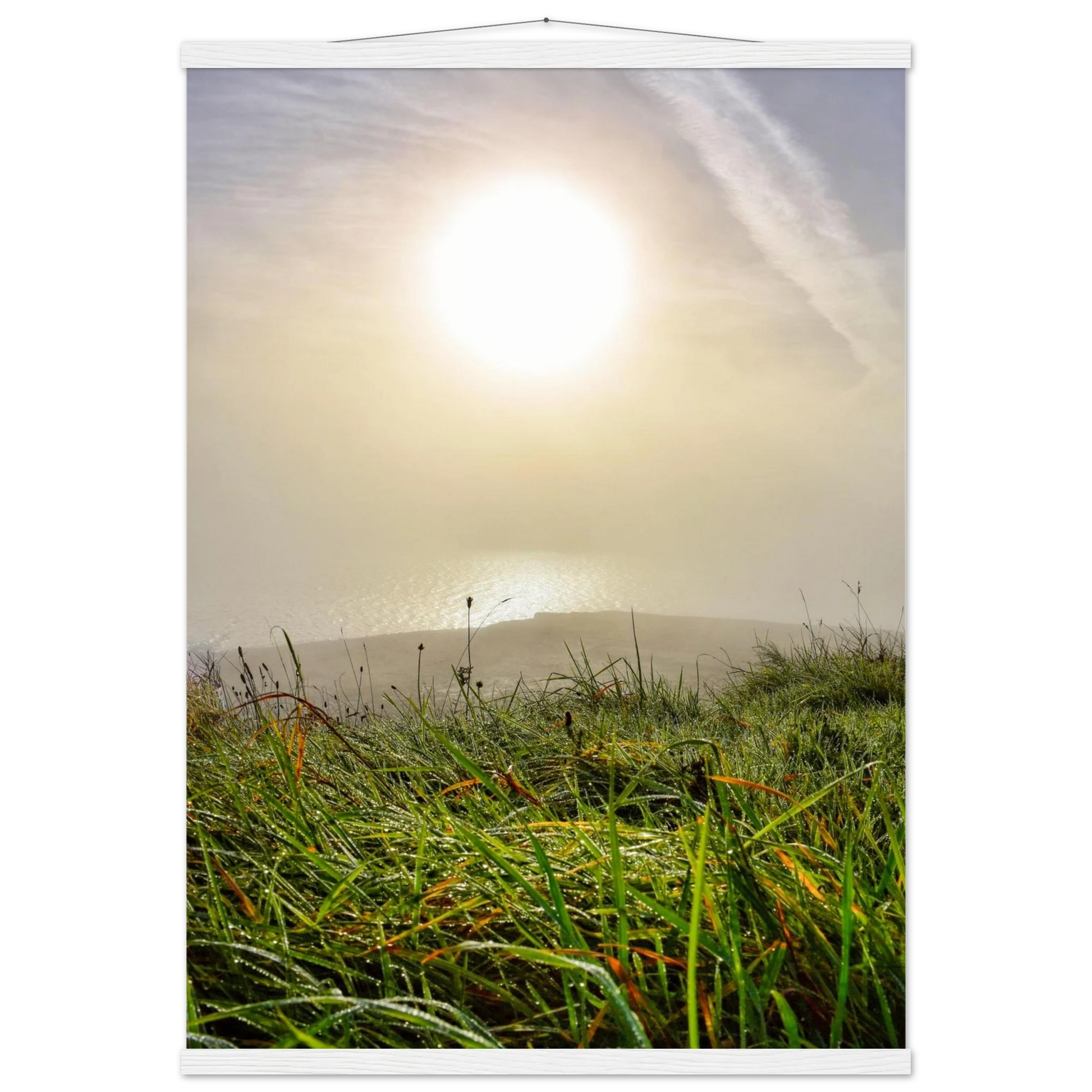 bac0ae98-f106-4045-b136-e89e30673d0b