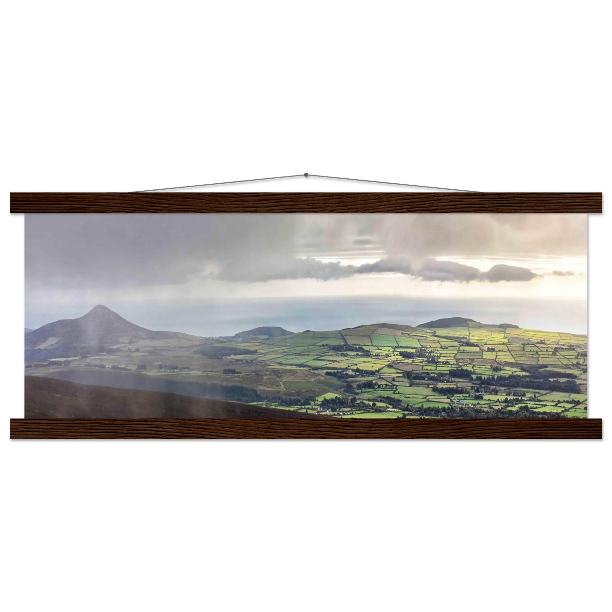 bb03408e-f02e-4dee-854f-e65449cbb768