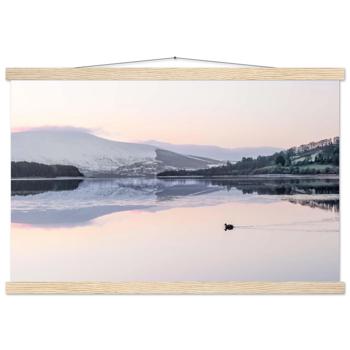 bb1444a4-6c6e-44f6-90d6-13c440866661