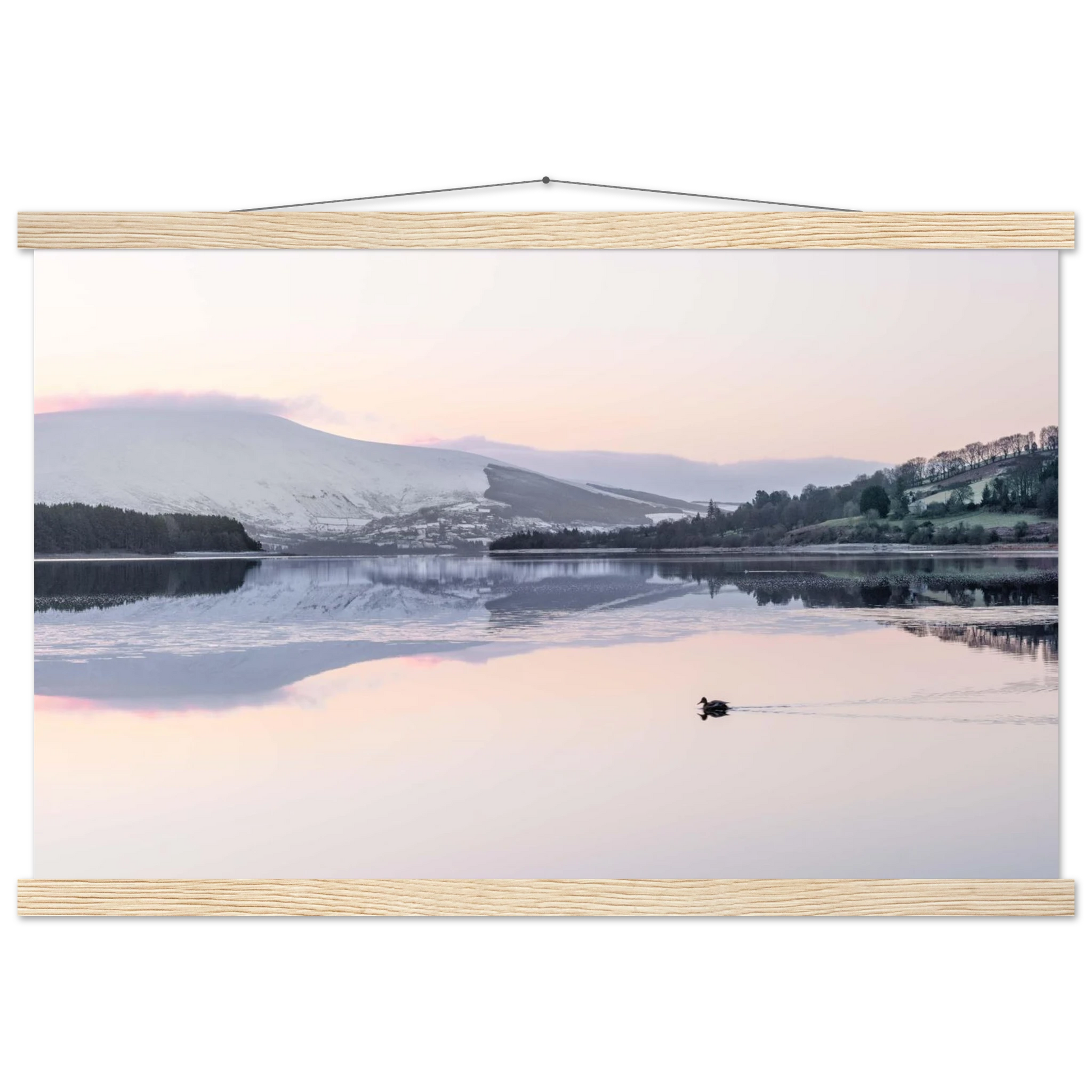 bb1444a4-6c6e-44f6-90d6-13c440866661