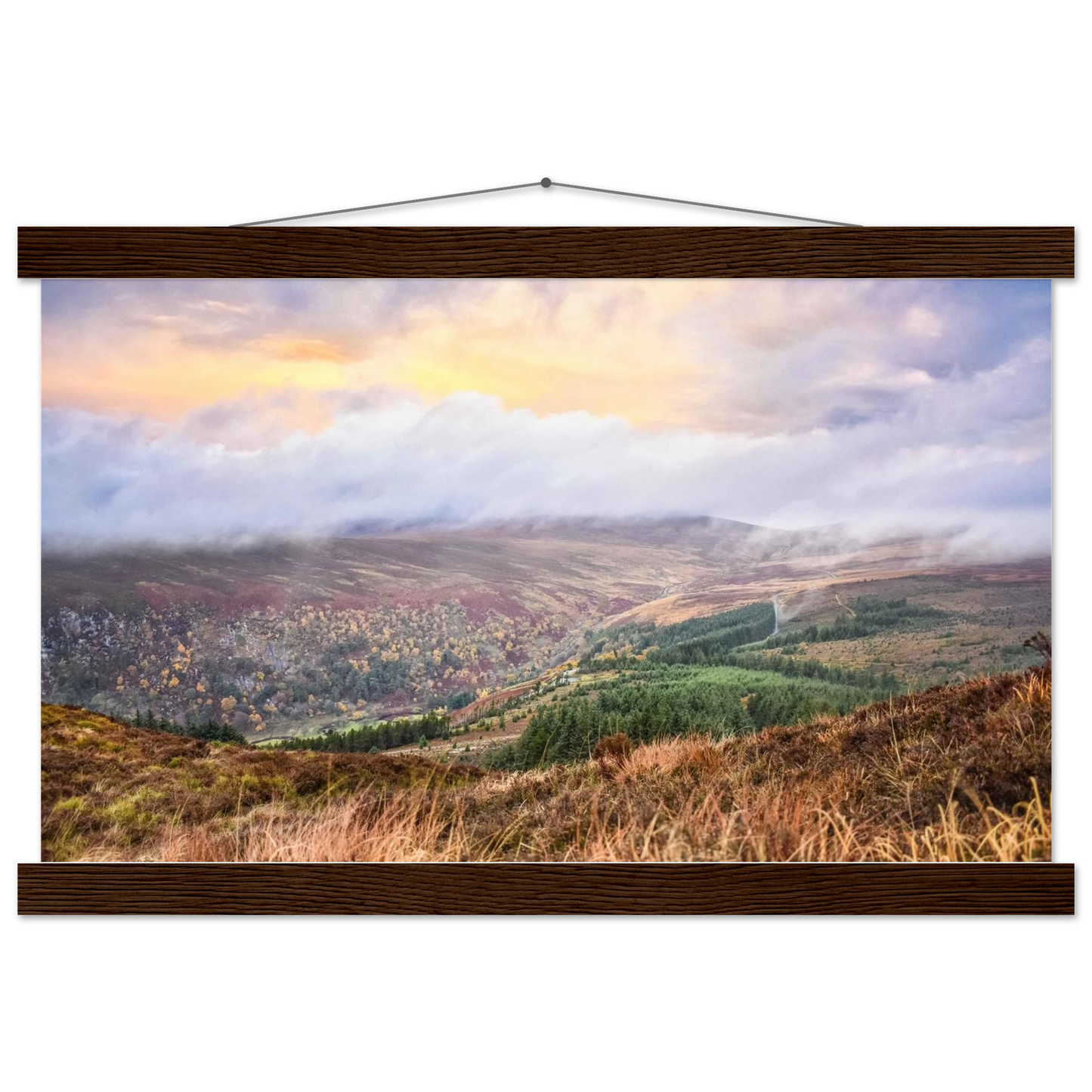 bb763c5a-8c12-4f1b-970c-098b6a8814c8