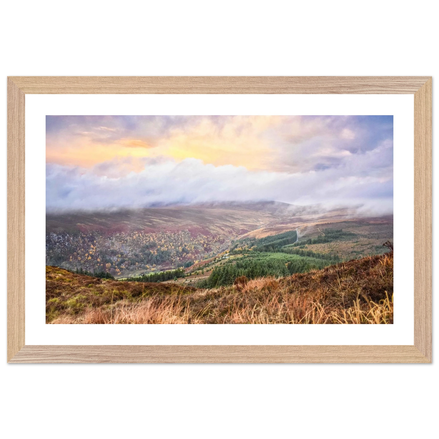 bc082250-88ba-448c-9865-0585e720dabc