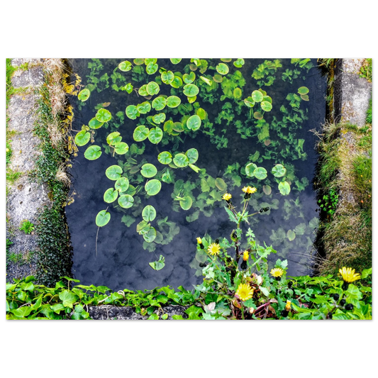 bc1c0bf1-cf9d-414d-b784-e2fba4d2df0b