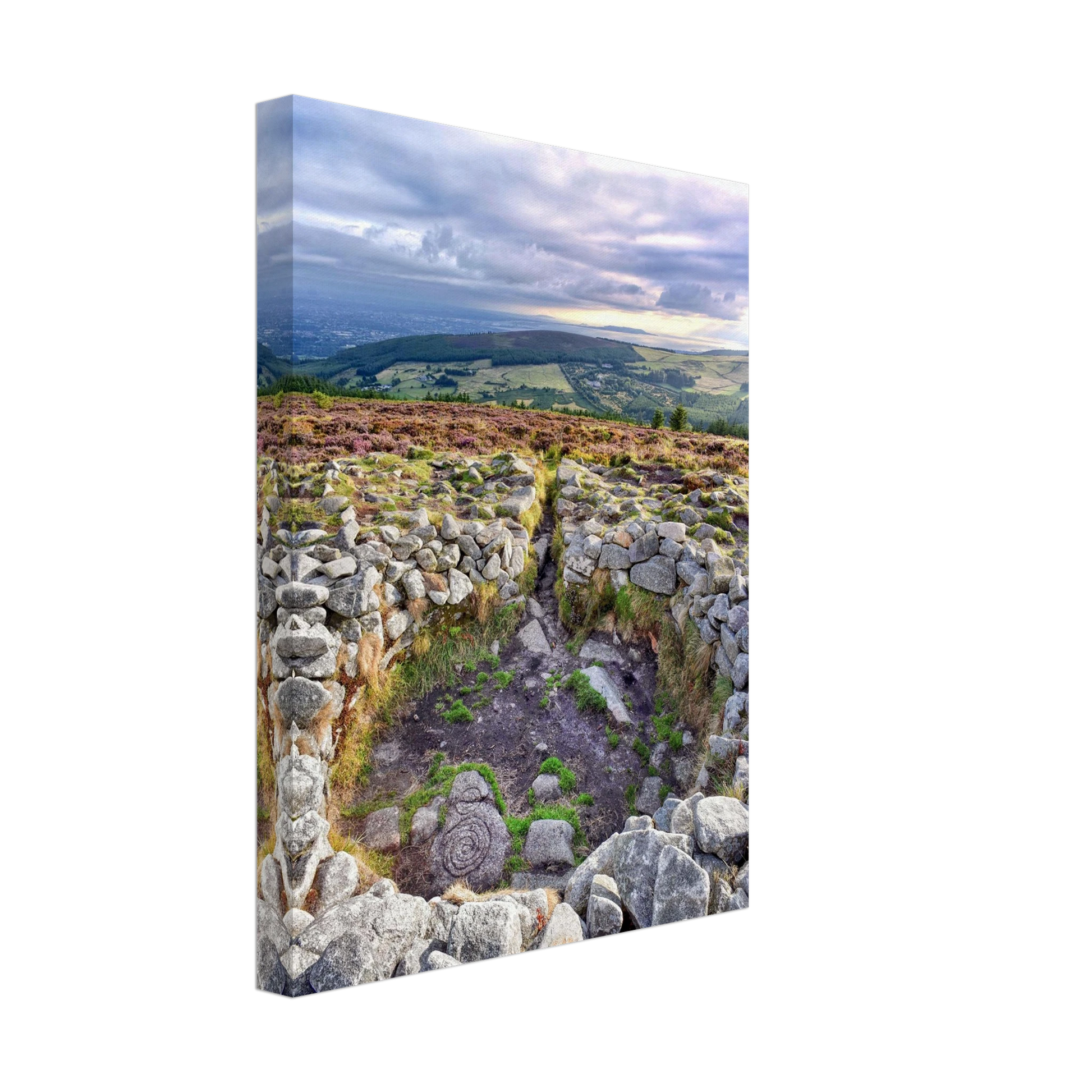 bc27c1bd-50f2-4206-b5cc-9ea59ec1b5f1