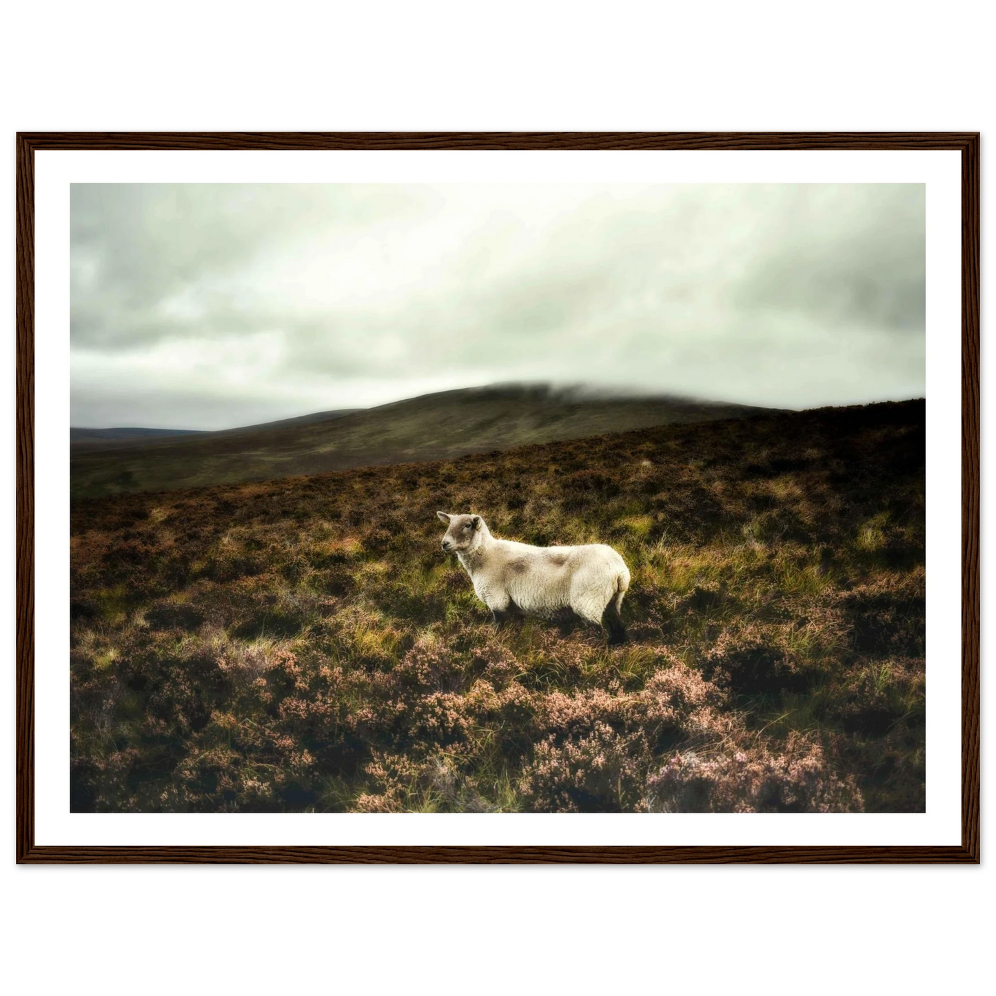 bc614862-2837-4e48-827b-b402cb5cda96