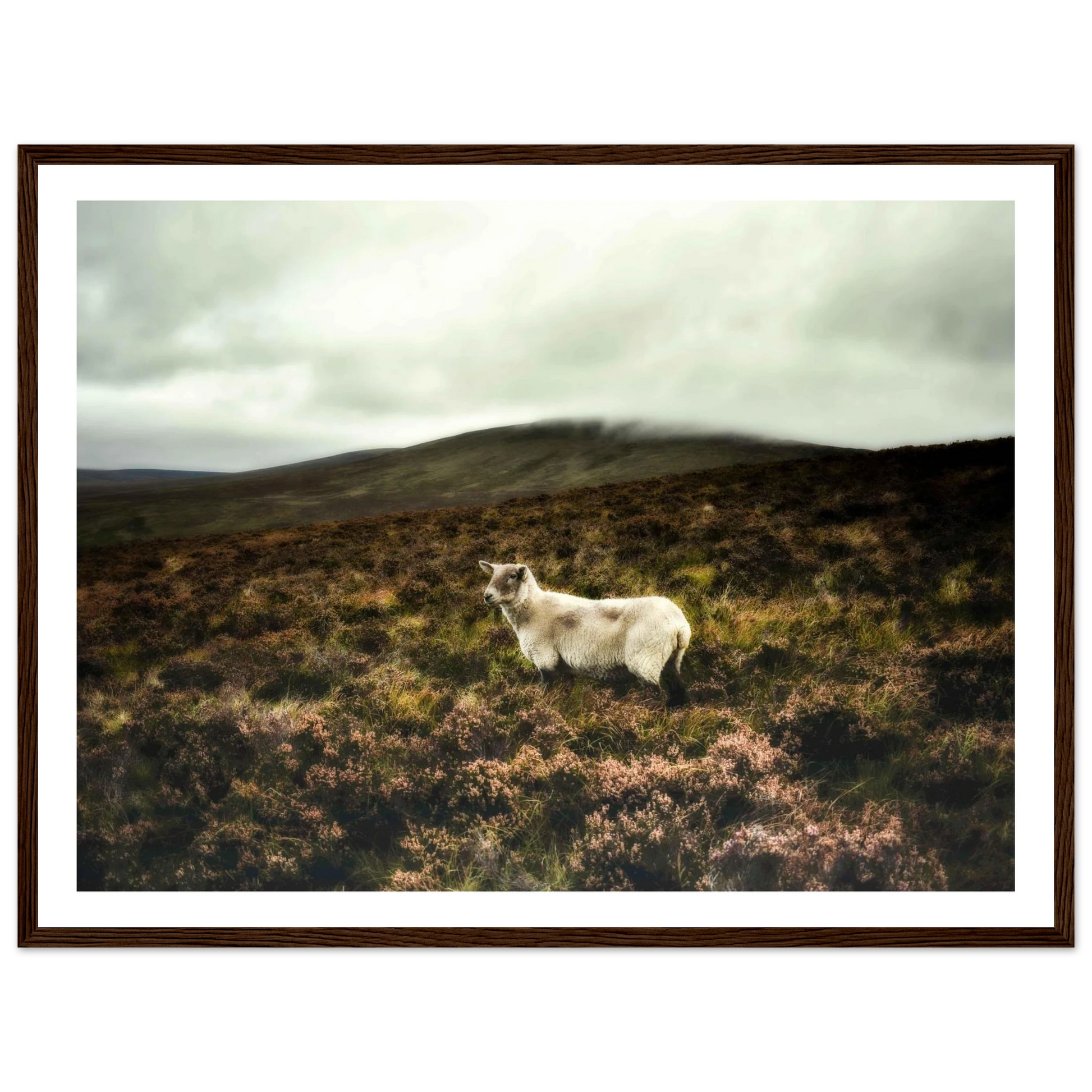 bc614862-2837-4e48-827b-b402cb5cda96