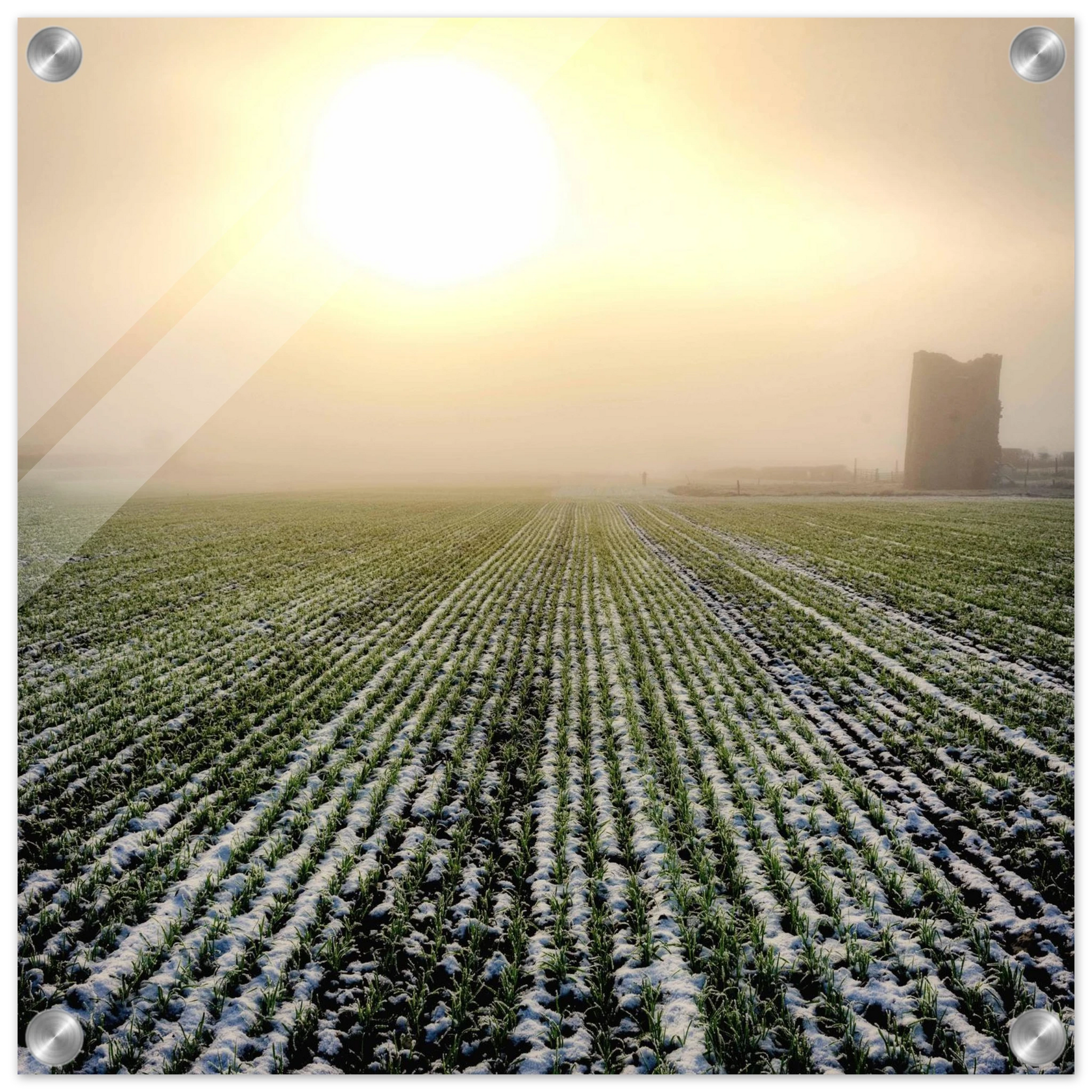 bcebe1ab-7a82-46b6-8d13-b8ea34528c74