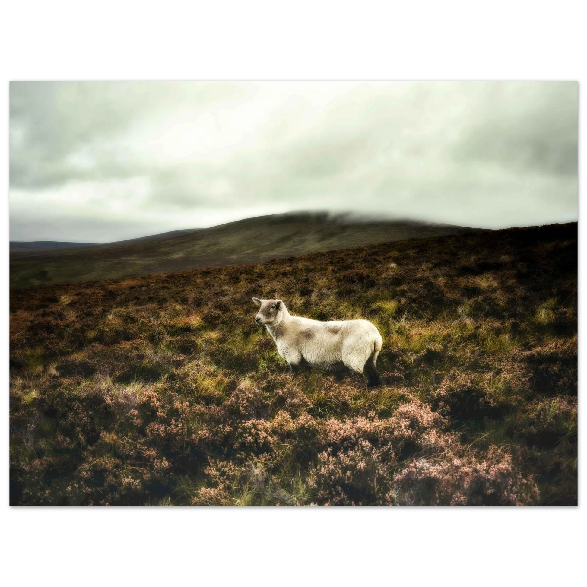 bd986e60-cc8f-41d1-a35c-94244dea9c36