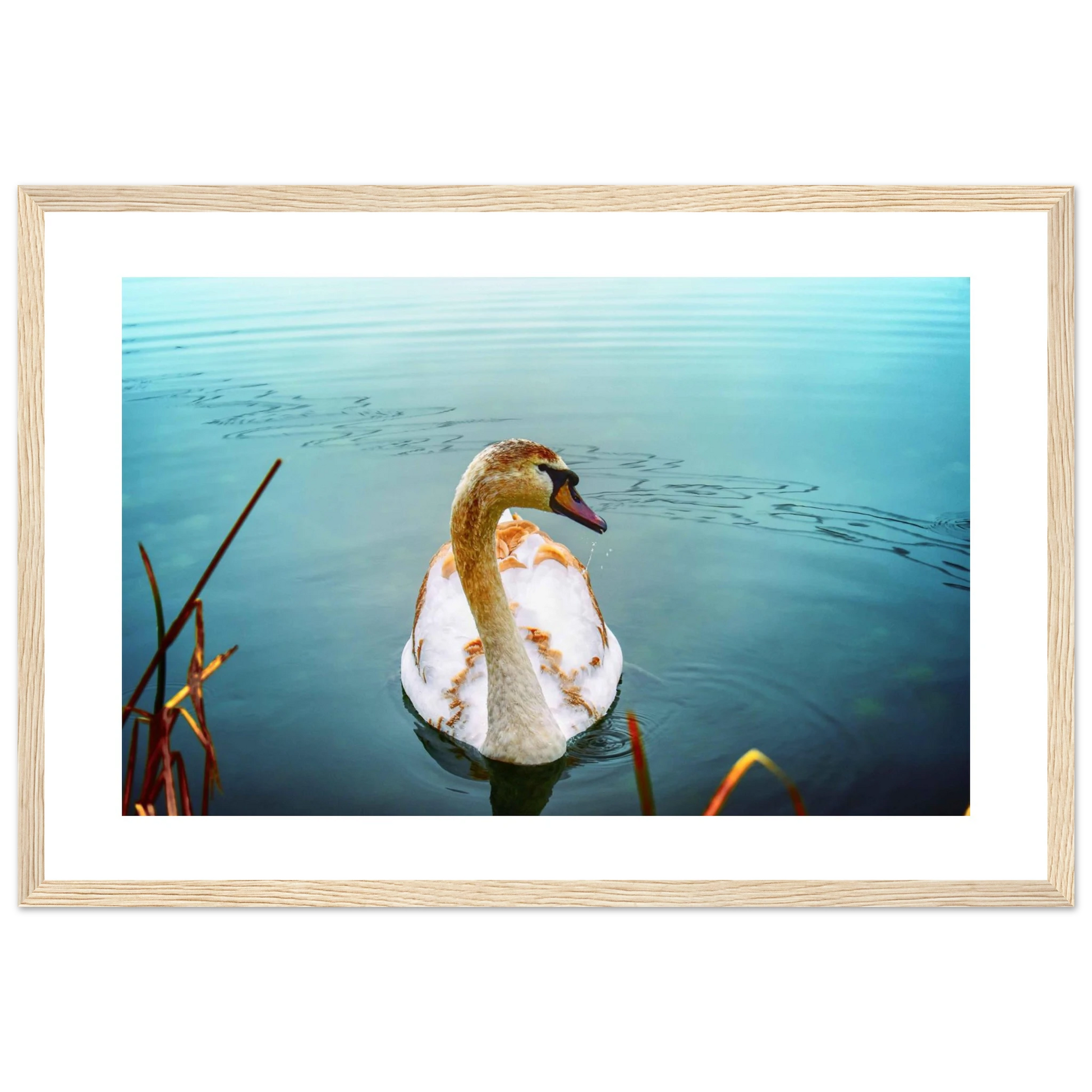 bdd1278b-2196-4394-8408-f9c579624160