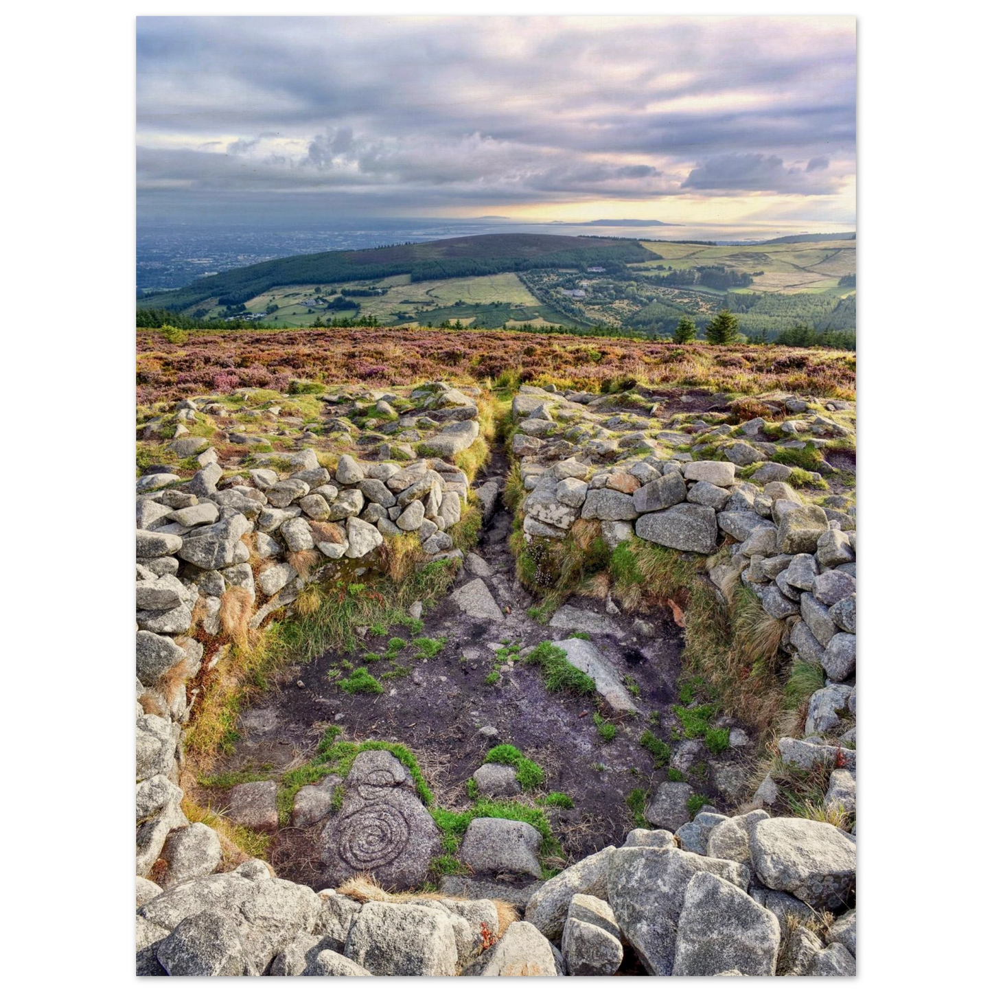 bdd8e24b-3f6f-42c8-9dbf-1c2b80316a5a