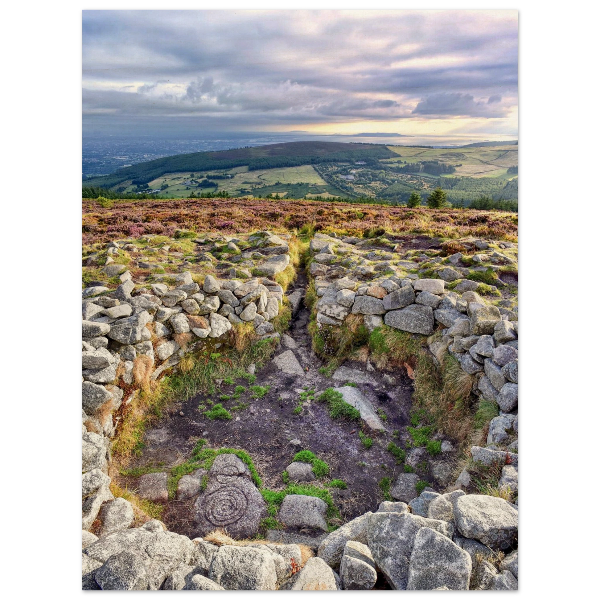 bdd8e24b-3f6f-42c8-9dbf-1c2b80316a5a