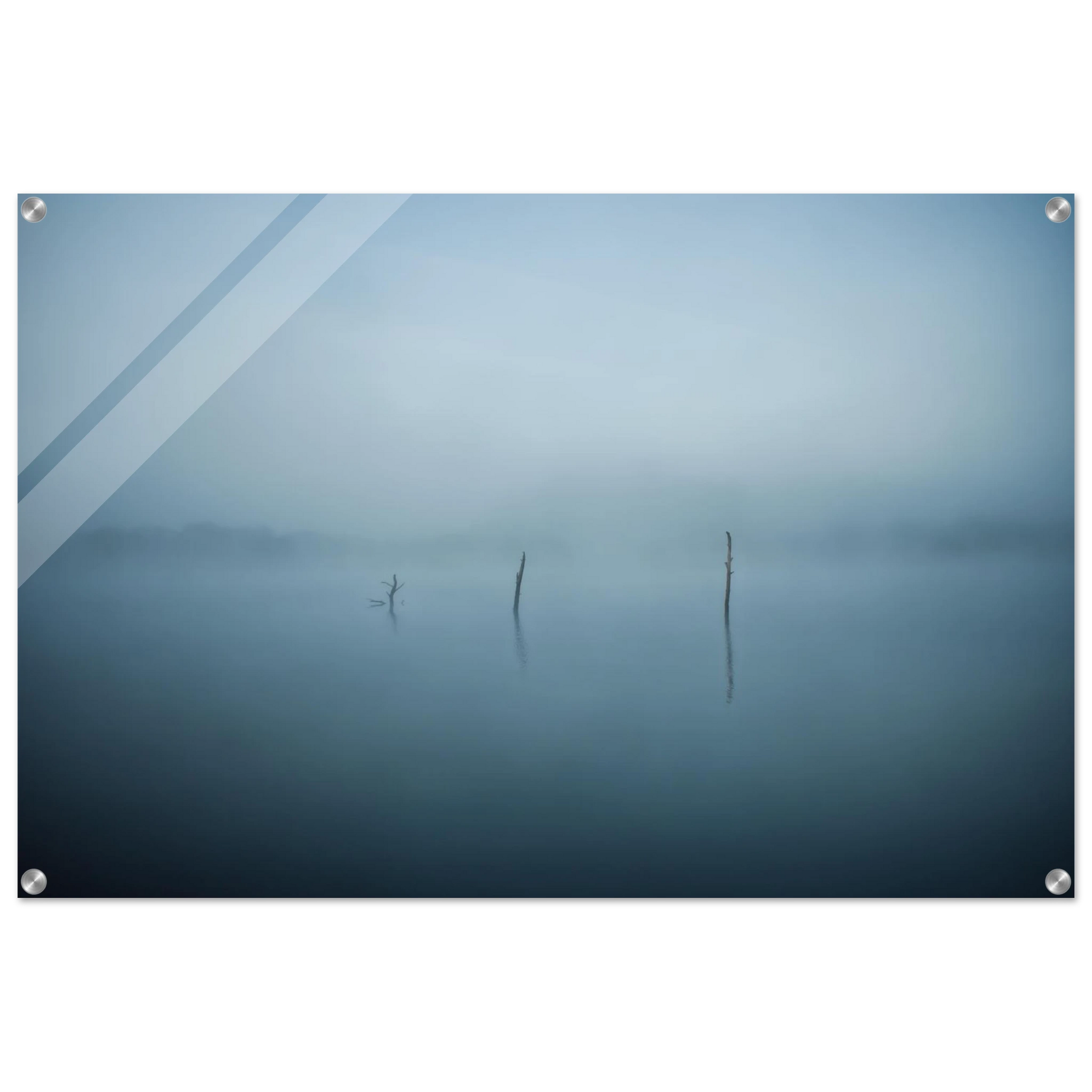 bdeff398-edc5-47cd-a575-b33ebd23c90a