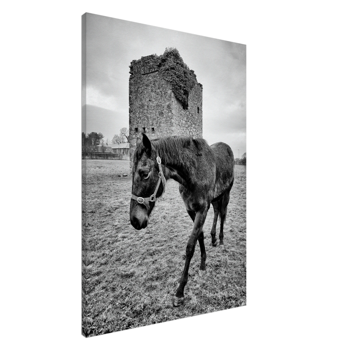 be0627a7-c1a9-4d80-8248-4bfb776a932c