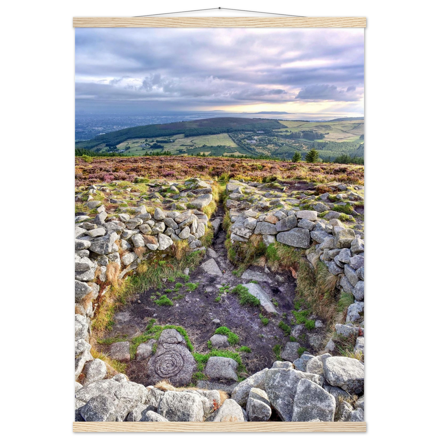 be9bbf31-137e-4b03-8ca0-da1aee7b6fae