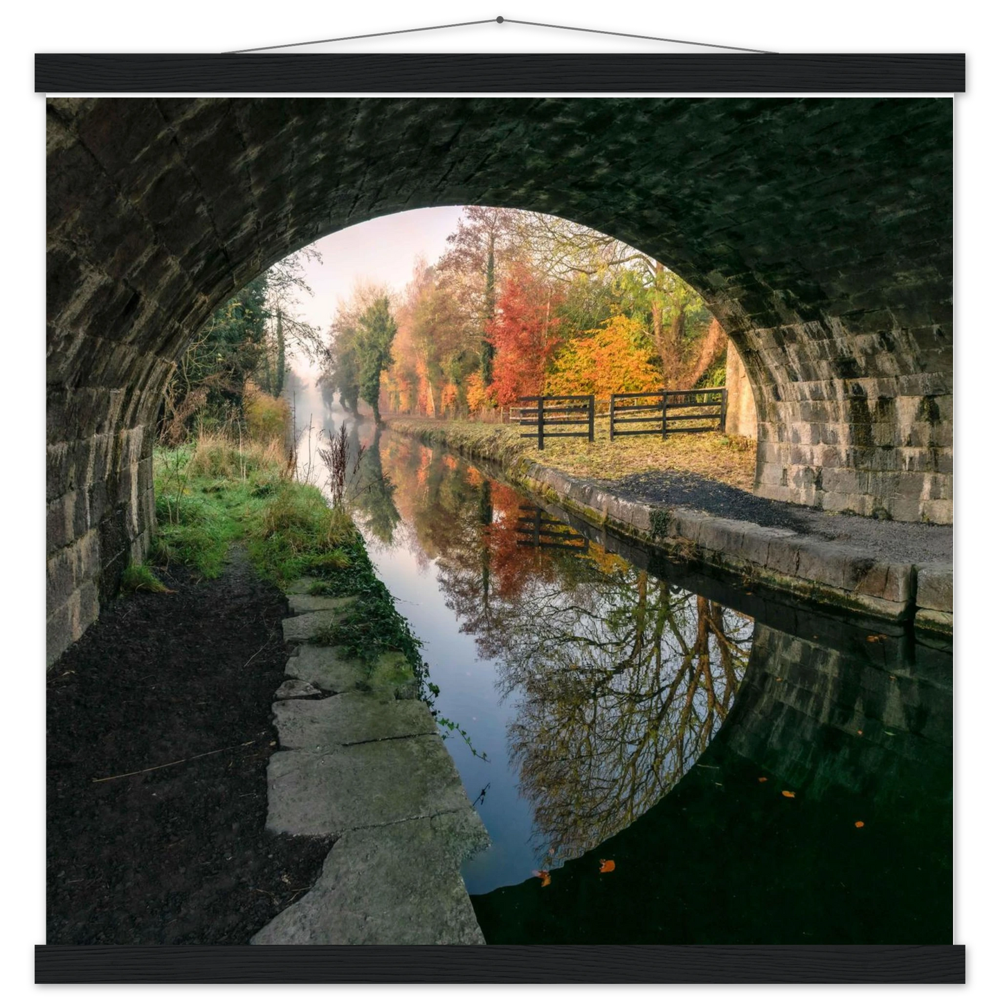 bf2efbbb-3c98-4956-90fe-a2e955933569