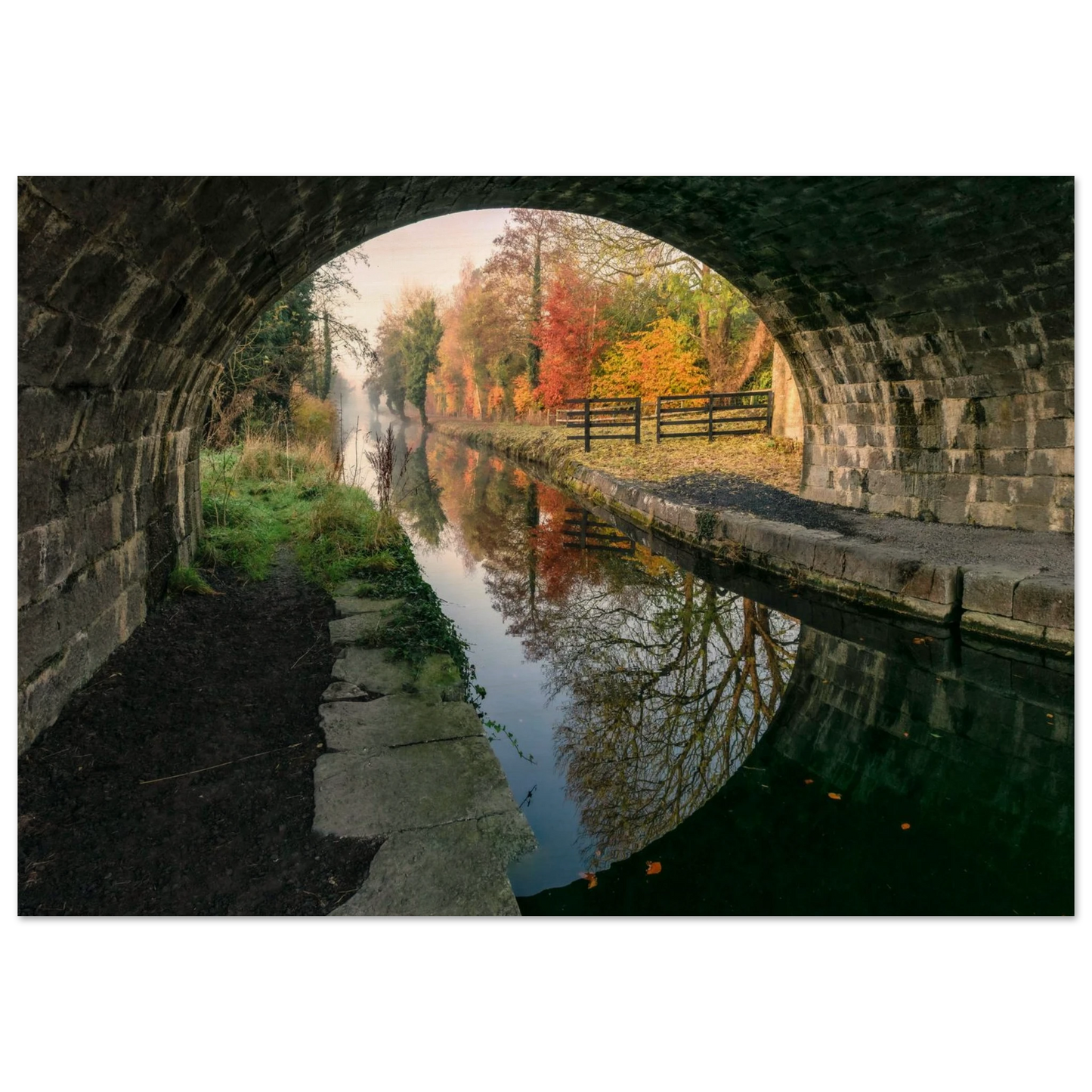 bf4241d1-e62f-47aa-801f-8db51afc3531