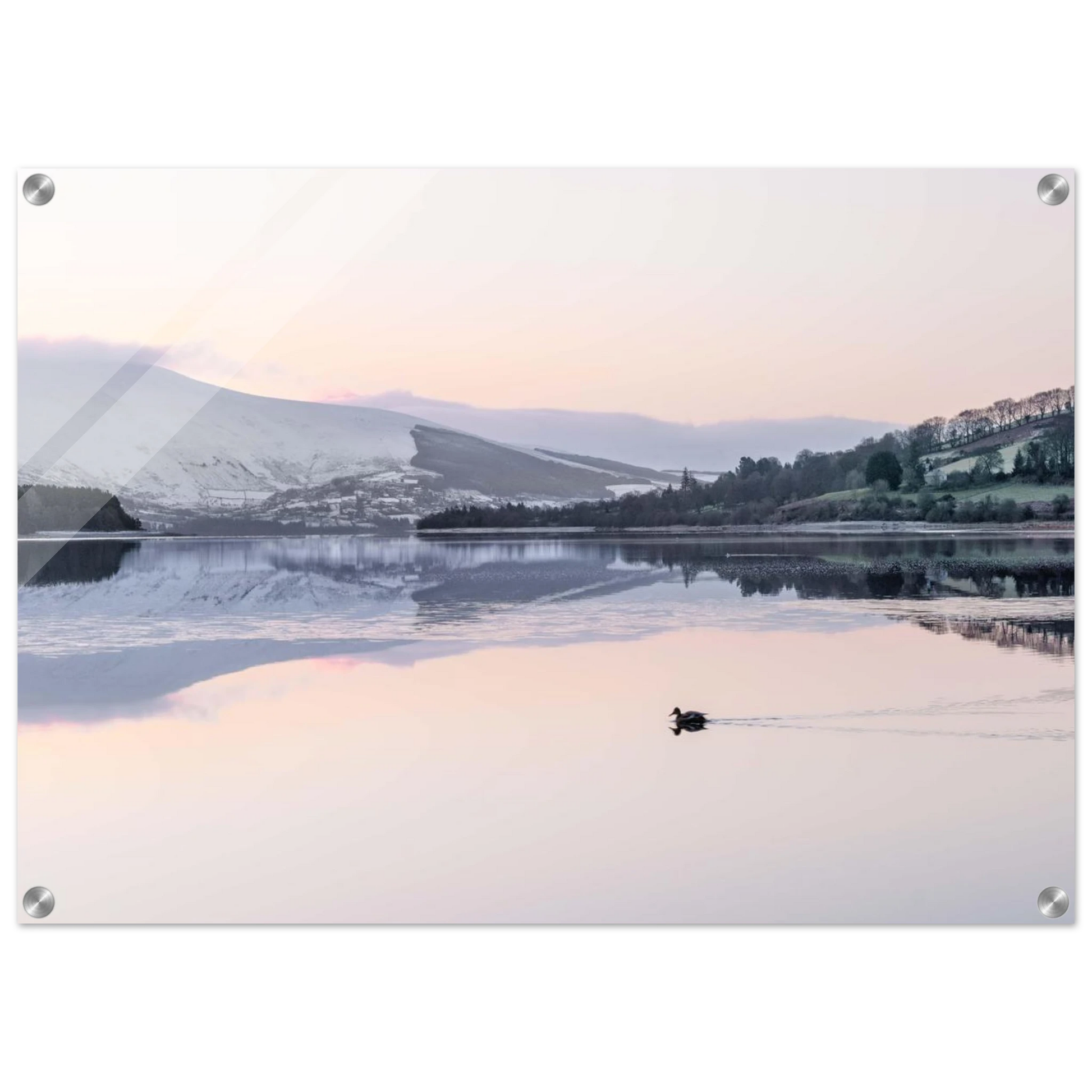 bf59637d-3a44-42cb-98de-814aac507921