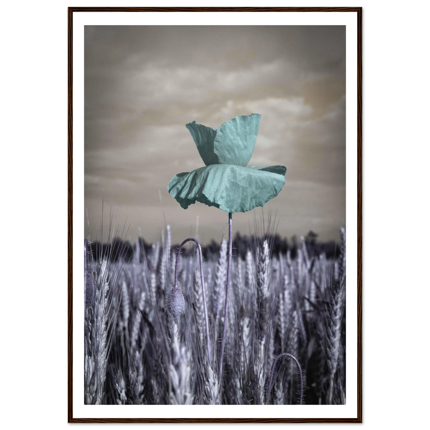 bff33015-b332-4b74-a010-5b10d0bcd6ab