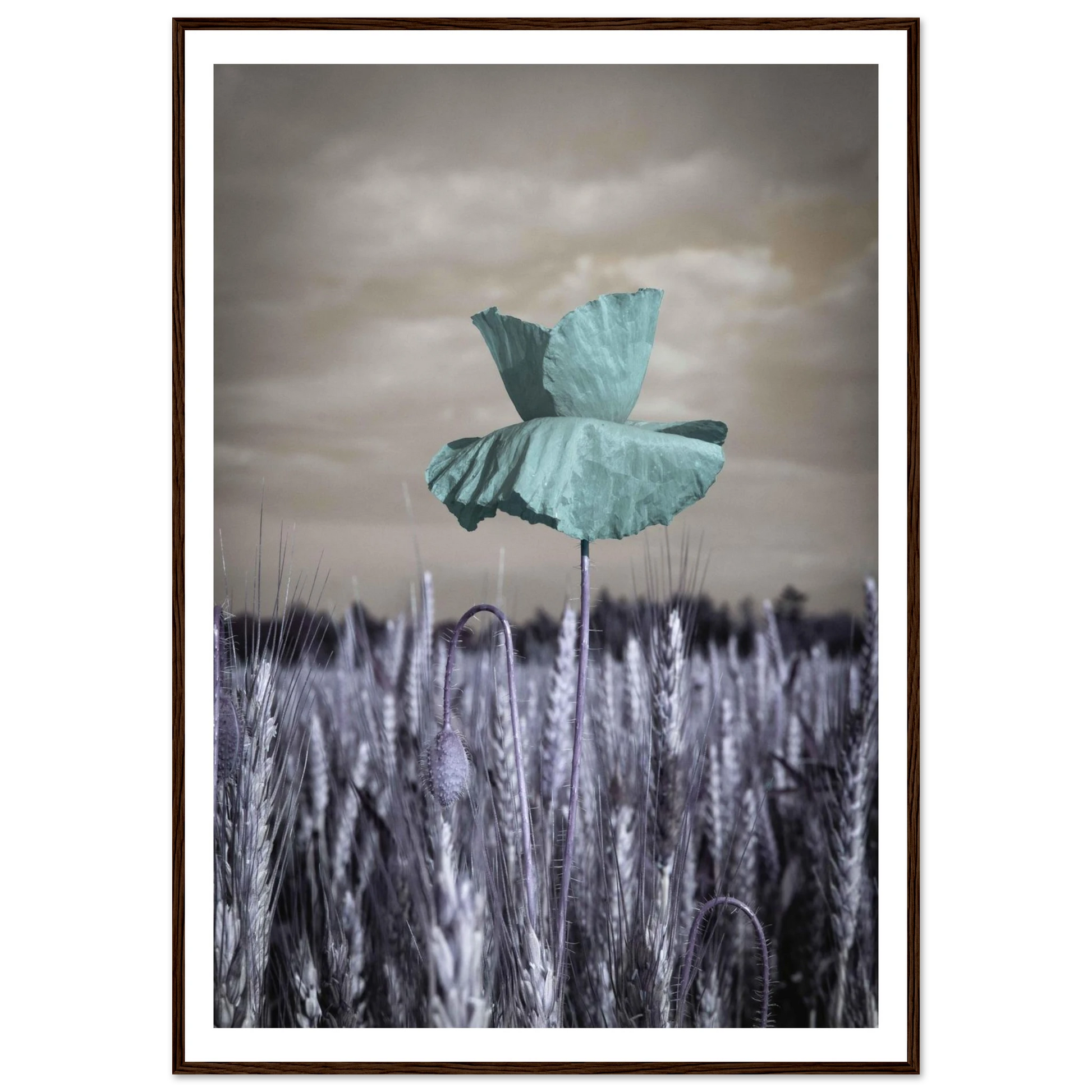 bff33015-b332-4b74-a010-5b10d0bcd6ab