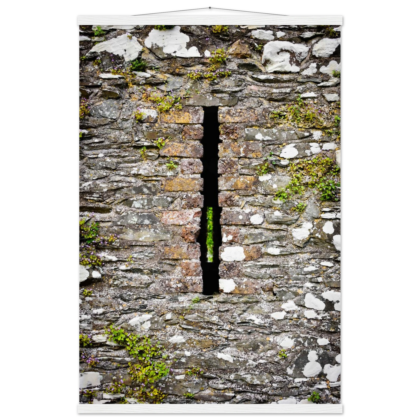 c0789abd-31dd-4b03-8449-c06b2991dc42