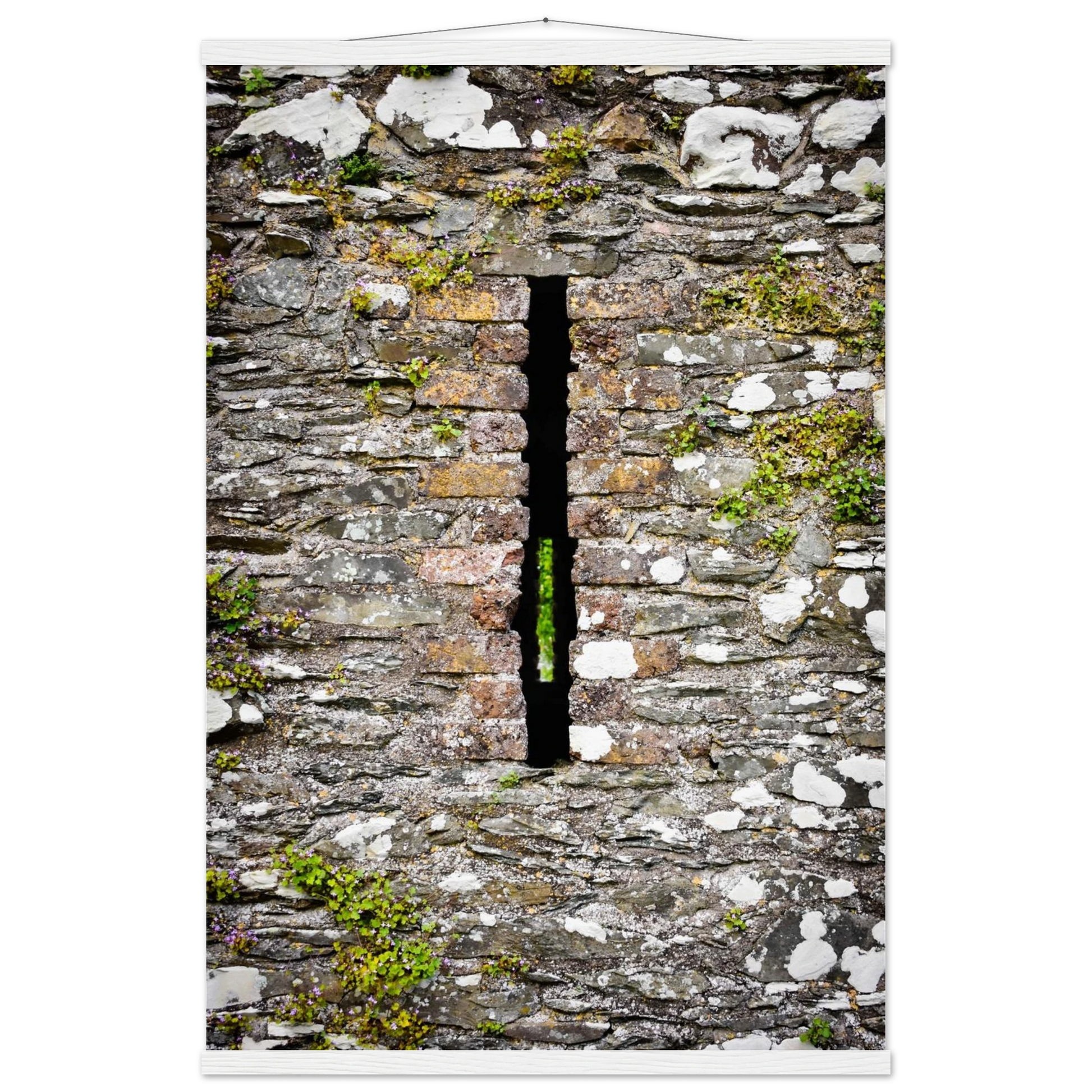 c0789abd-31dd-4b03-8449-c06b2991dc42