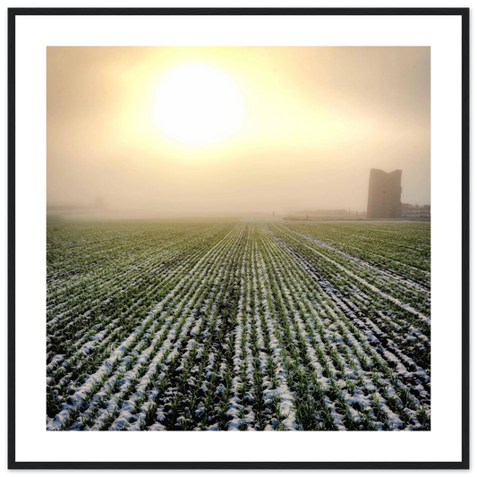 c0945dd7-b1b0-42a7-b44a-ea63485e1c9b