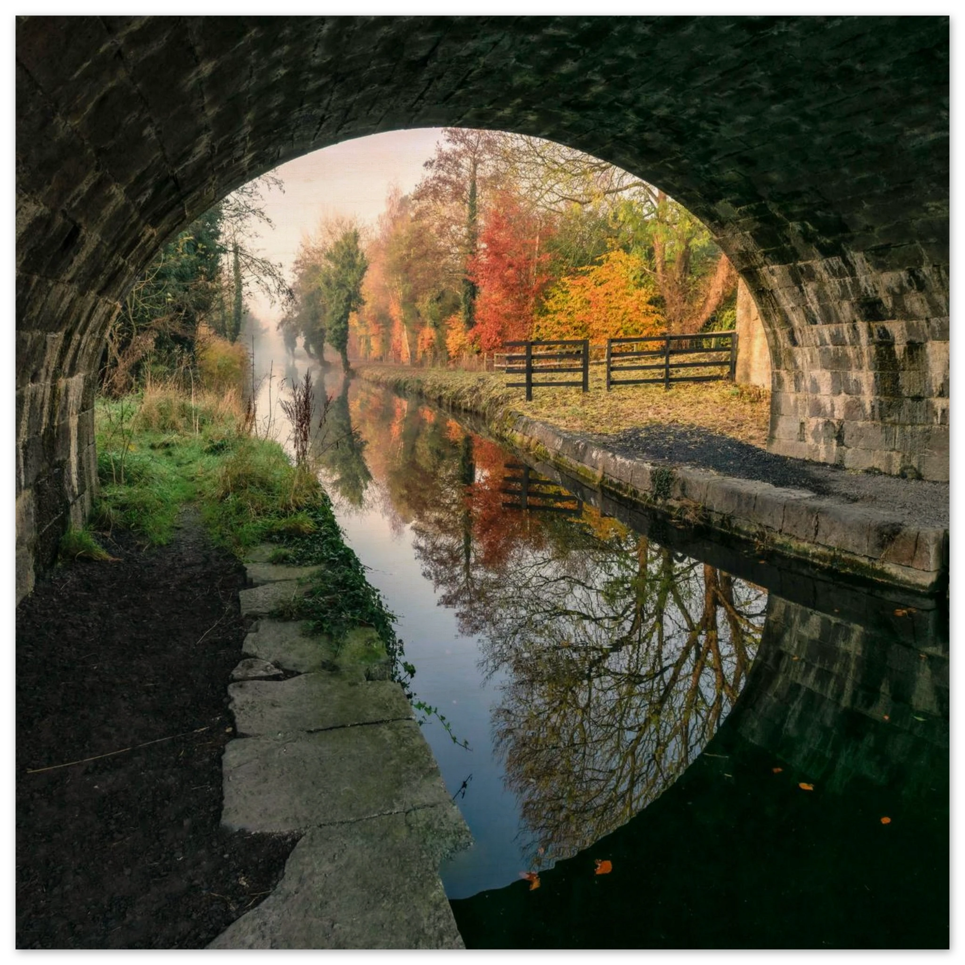 c0a0d3ad-0f76-4a0c-aa23-0d1ac22be7d8