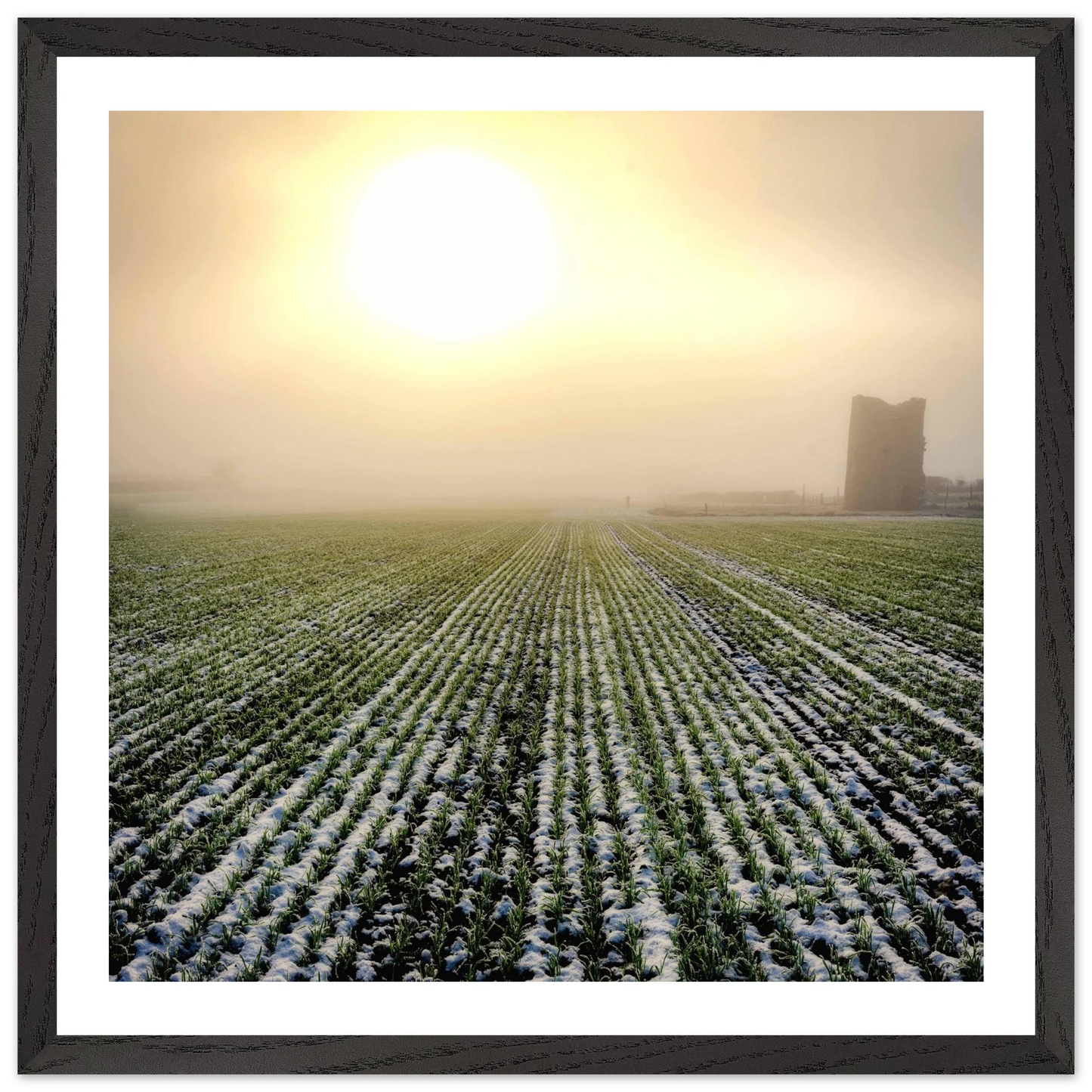 c0a54831-3275-4362-9151-357713e74806